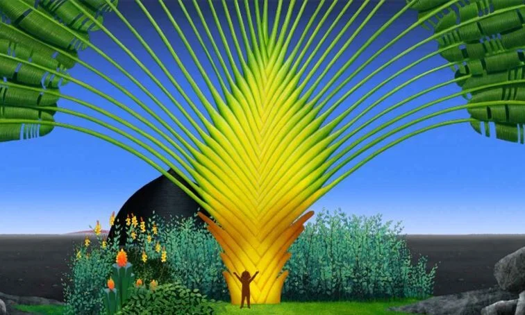 Animation First.jpeg