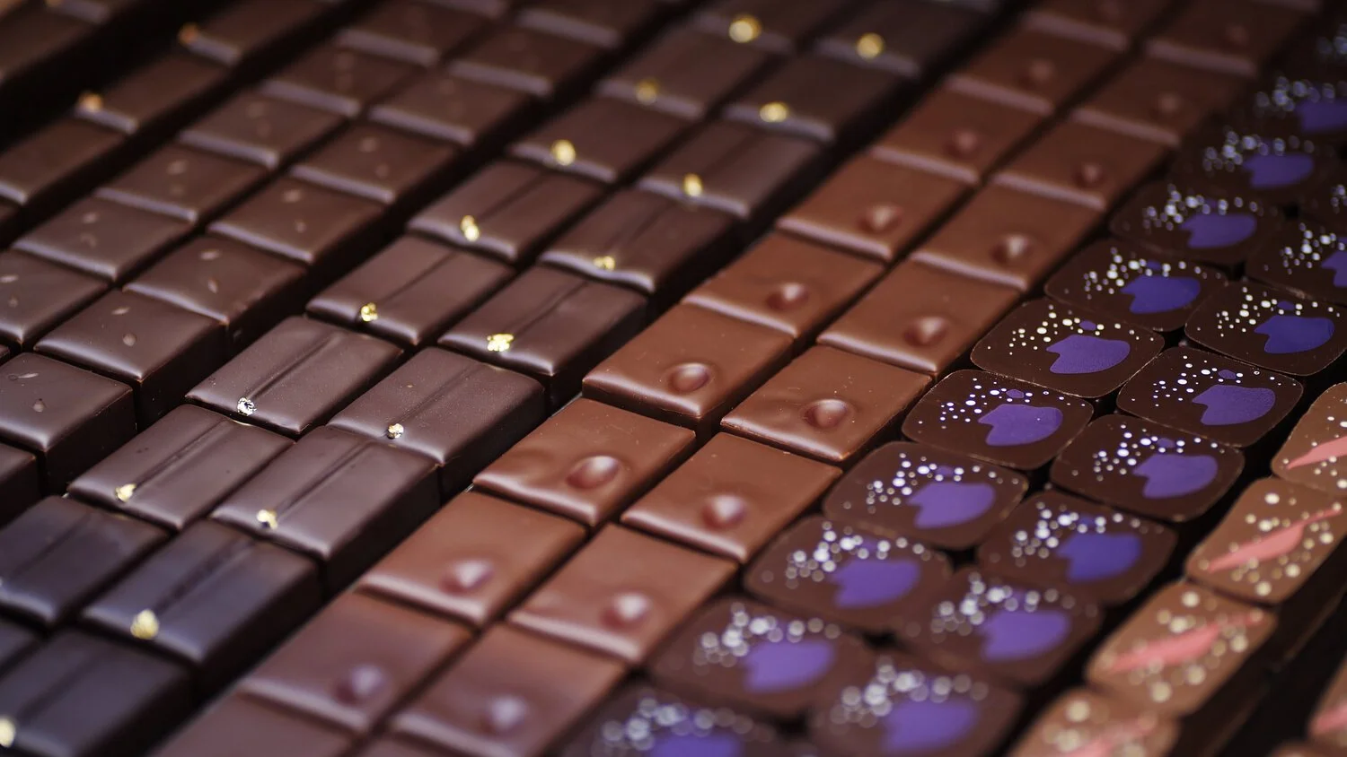 CHOCOLATE ROAD, A Film by Tanya Chuturkova