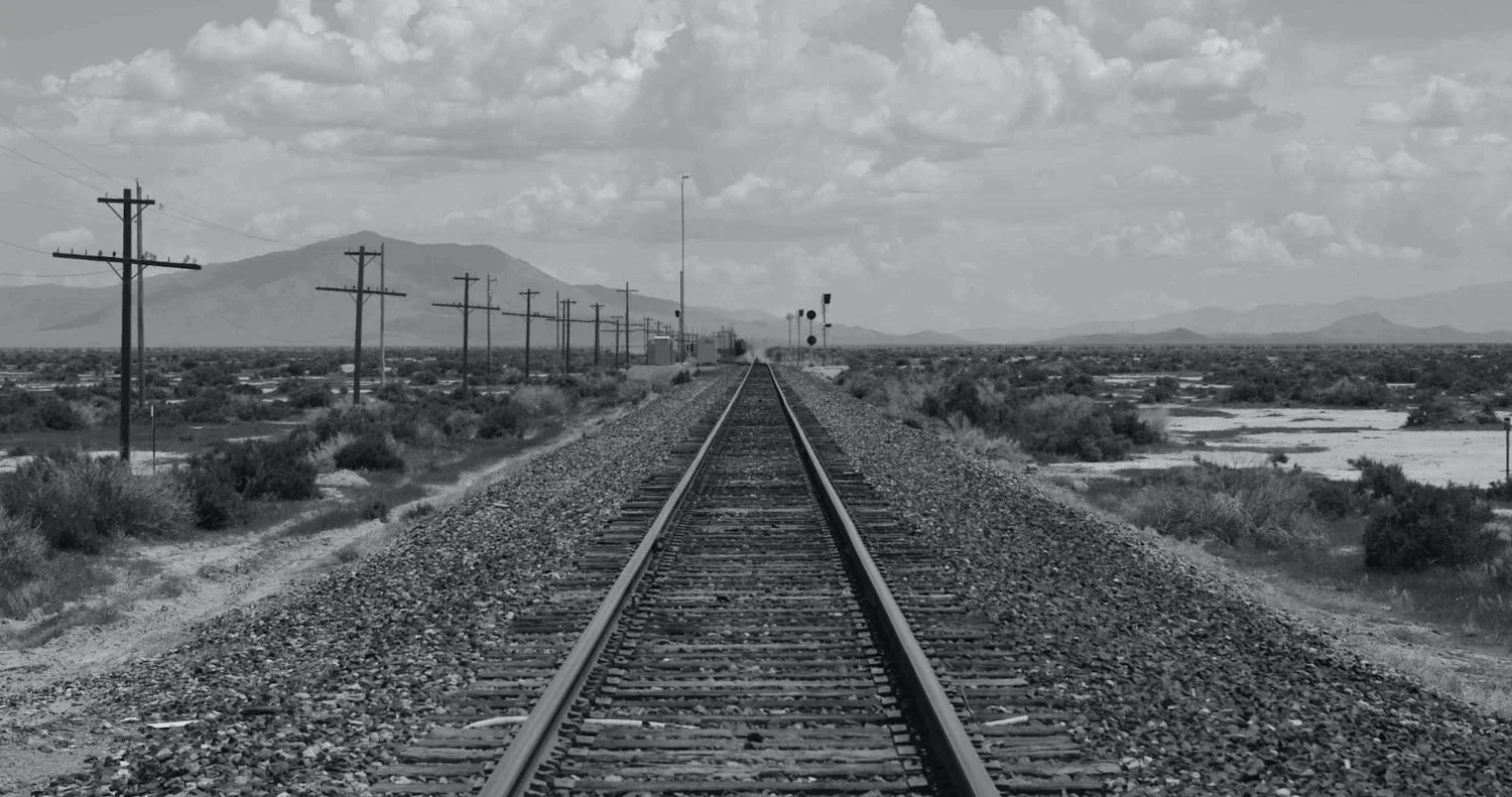 FERROEQUINOLOGY, A Film by Alex Nevill