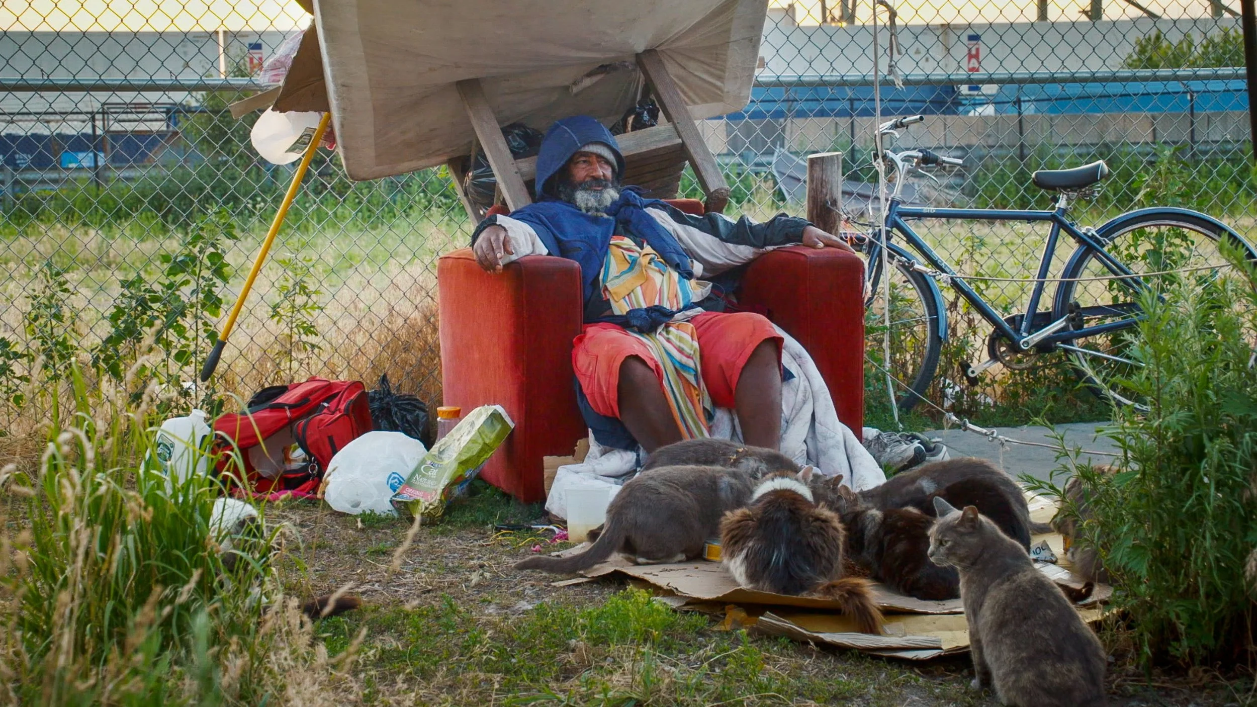 THE CAT MAN ESHETE, A Film by Laura Checkoway