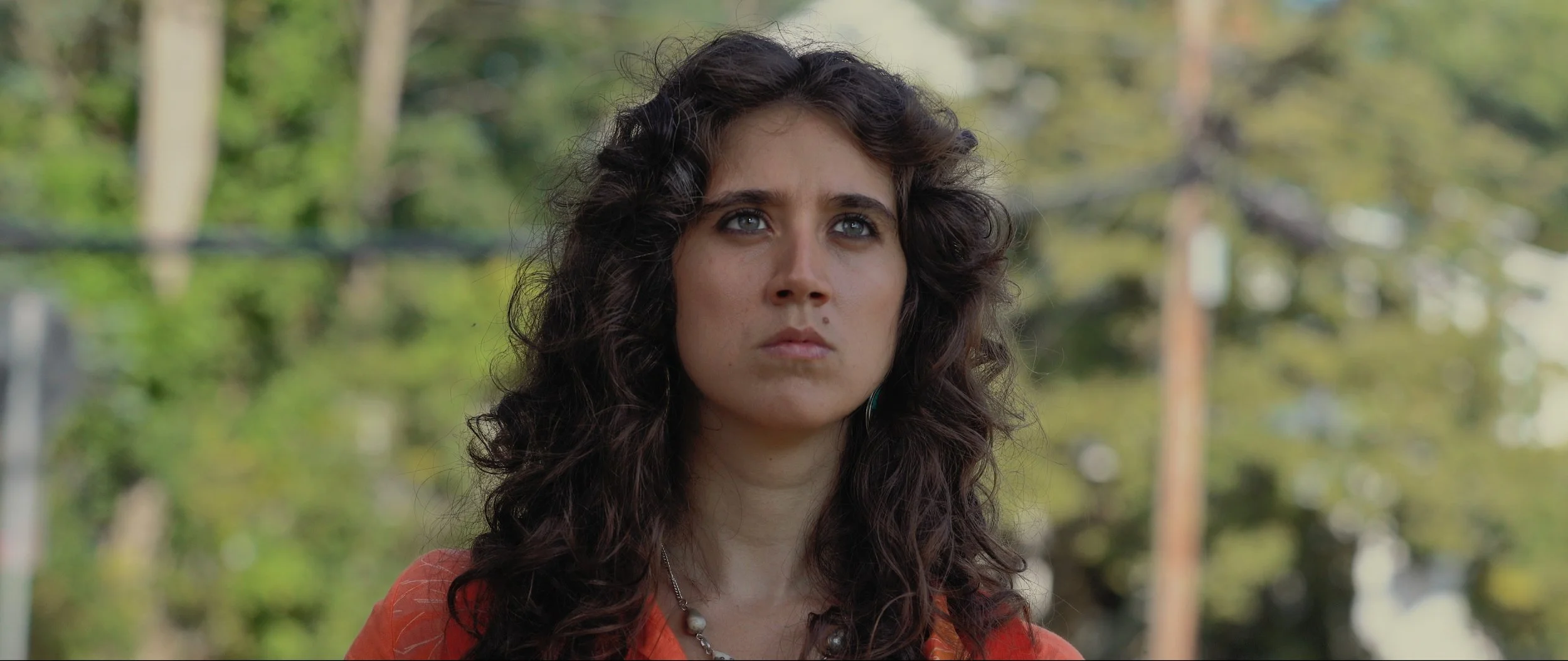 STOCKADE, A Film by Eric McGinty