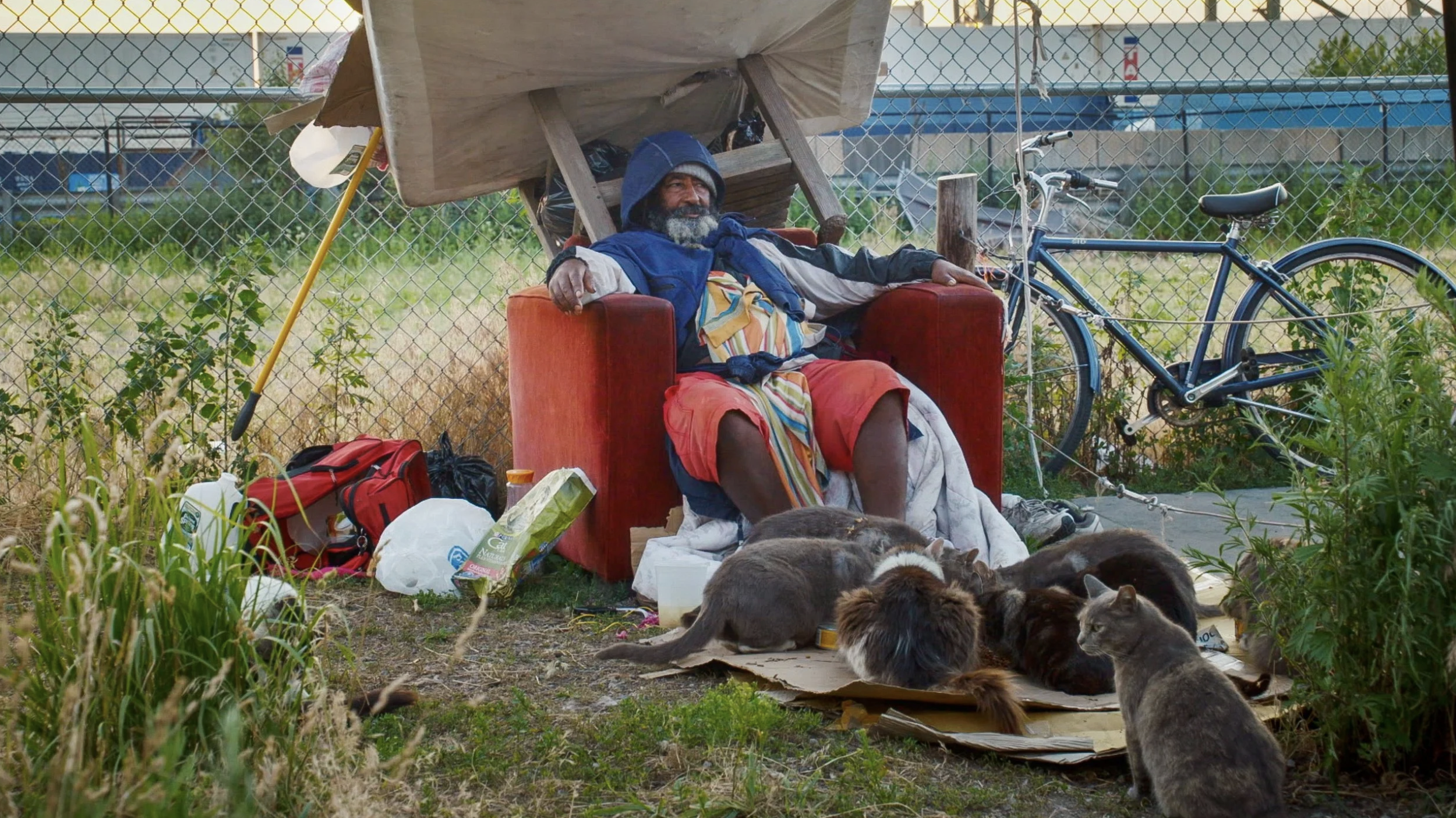 THE CAT MAN ESHETE, A Film by Laura Checkoway