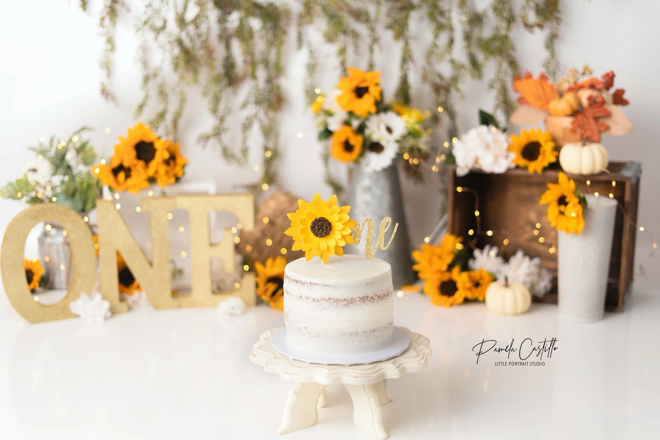 Image 11-3-20 at 8.33 AM.jpeg