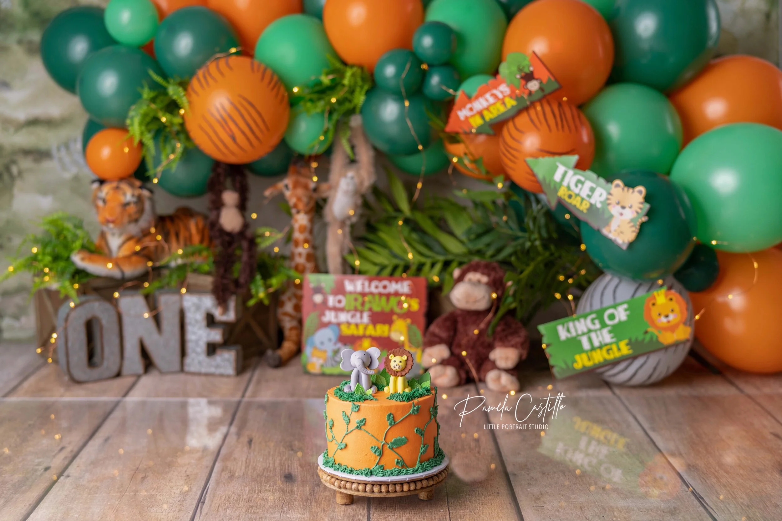 Image 5-19-21 at 11.21 AM.jpeg