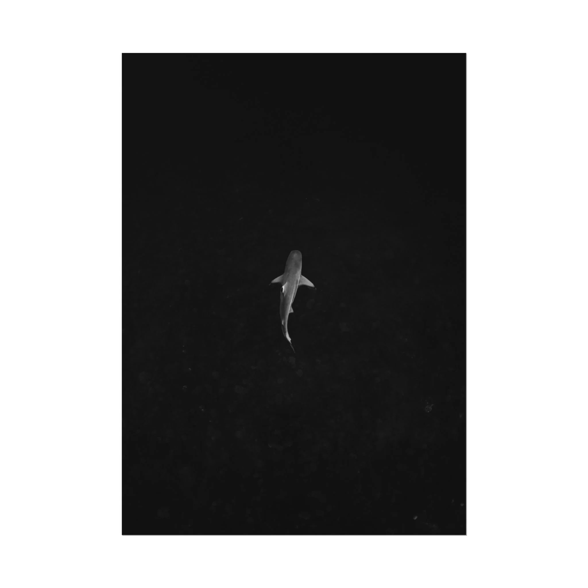 6f97139b8dcfac3f2d31a52adbe5055f