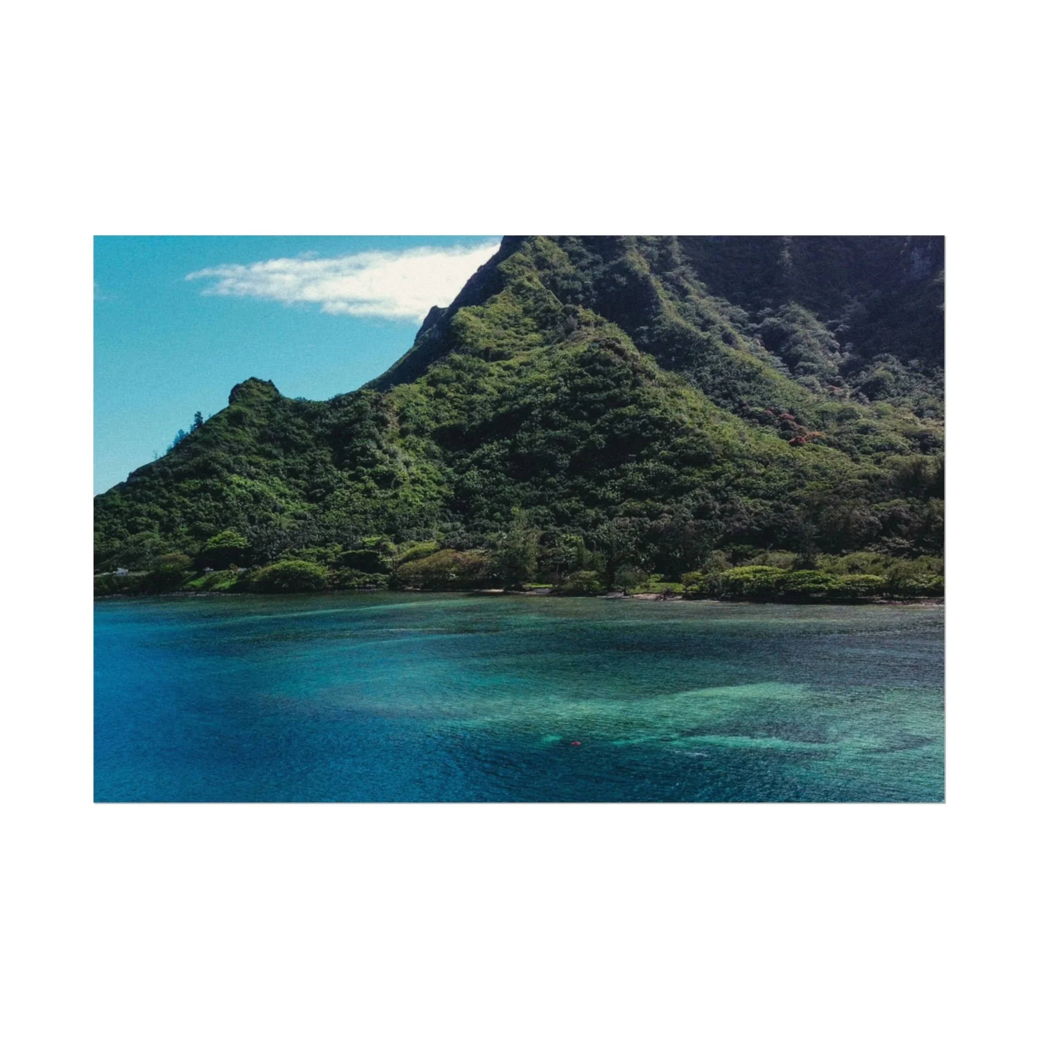 41bebf1adcadb358ef195d6b7db3743b