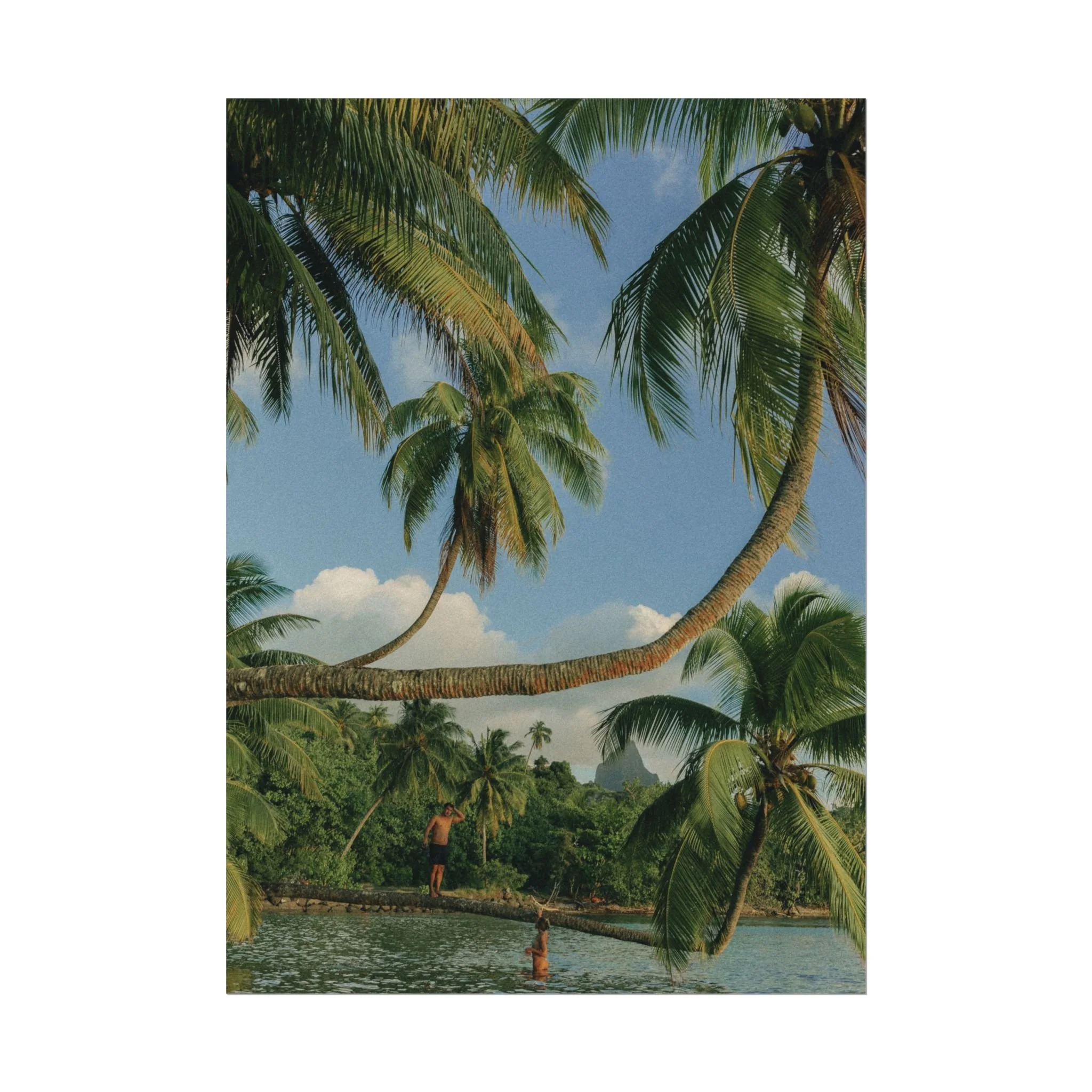 f2ab0b96b7dd0573f793506ac4c9e667