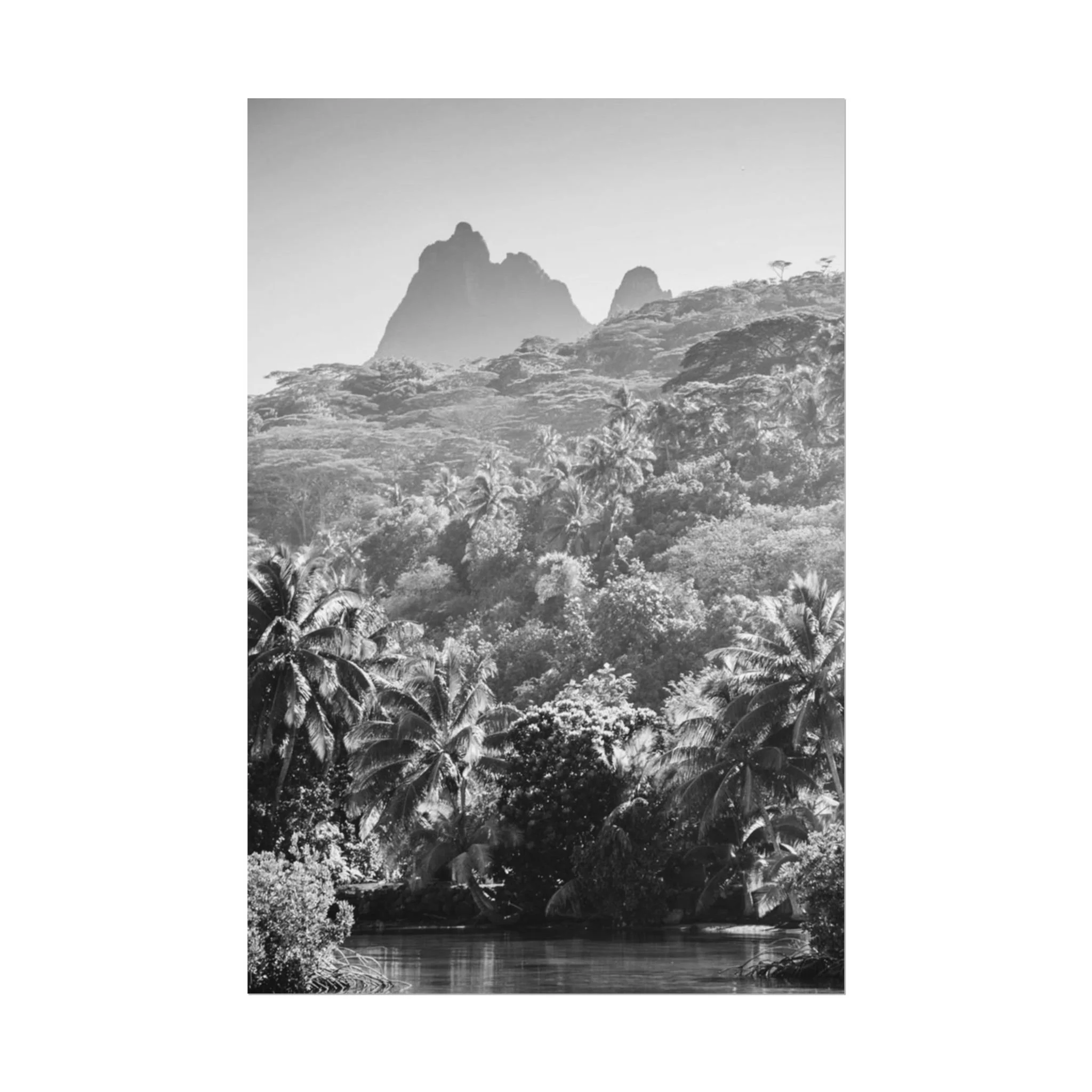 a963e6688dad5d76f9d57116ebea99a6