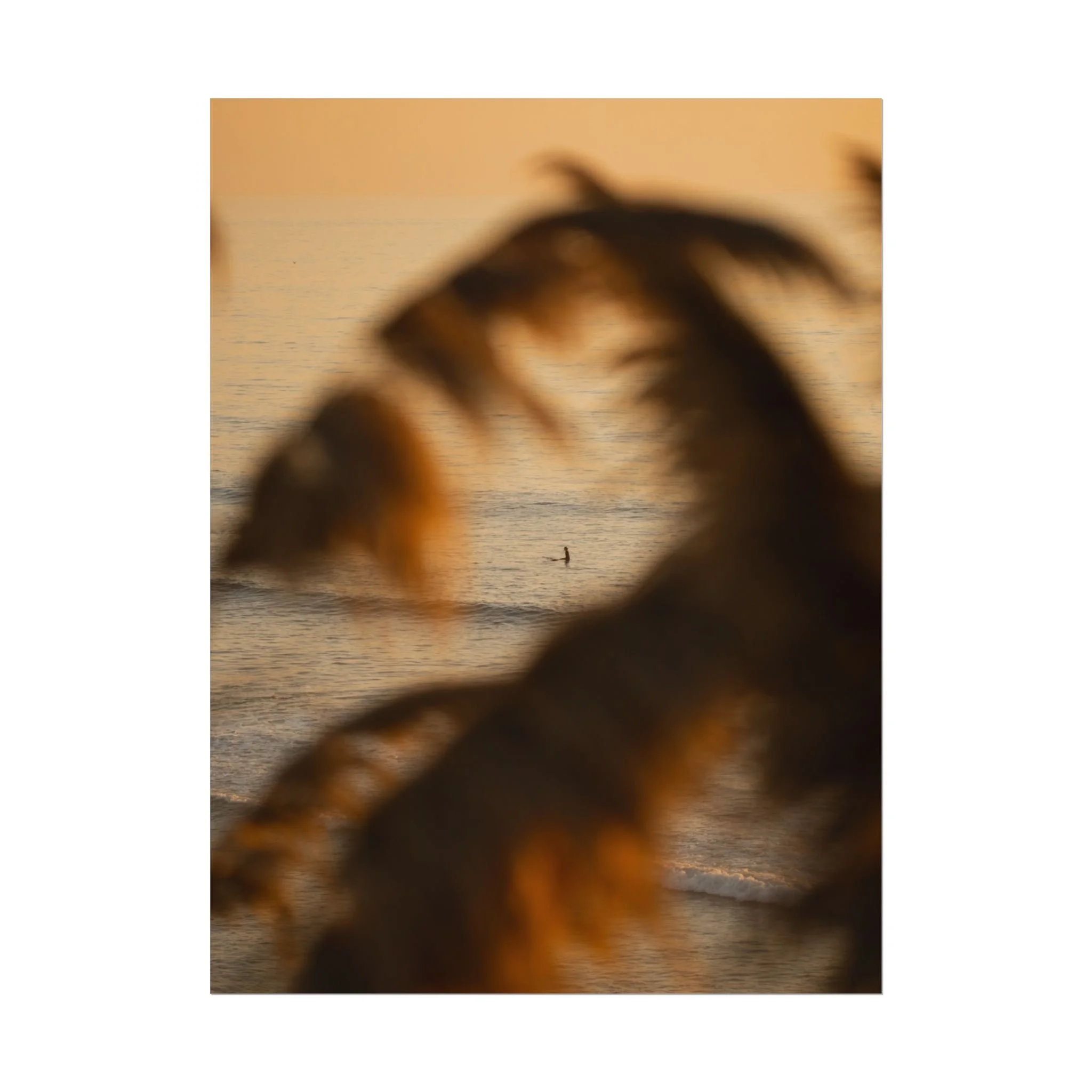 0f61e6bb9a88473701ac1844152e84c9