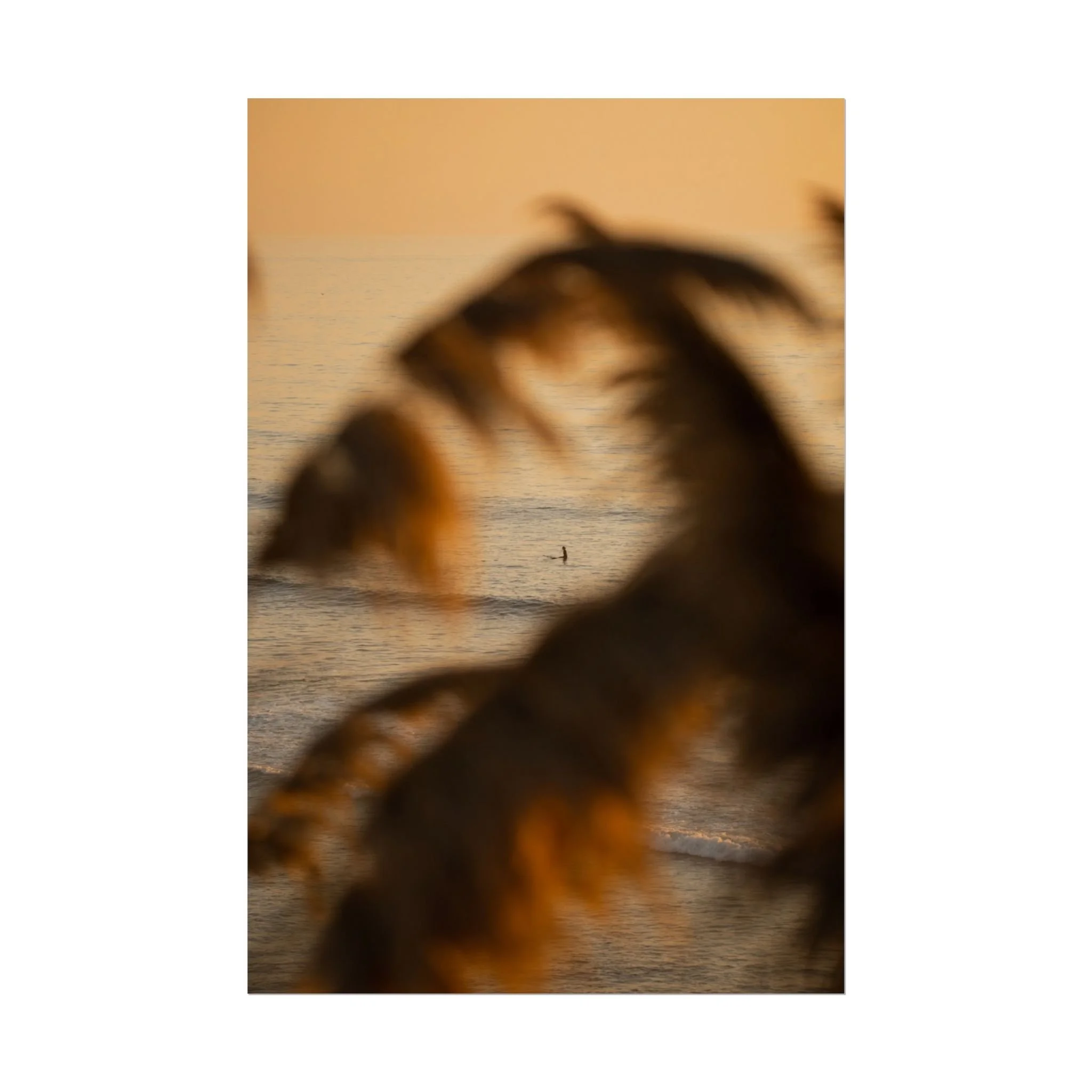 7e13bf2cafed8b843a956891b6e15802