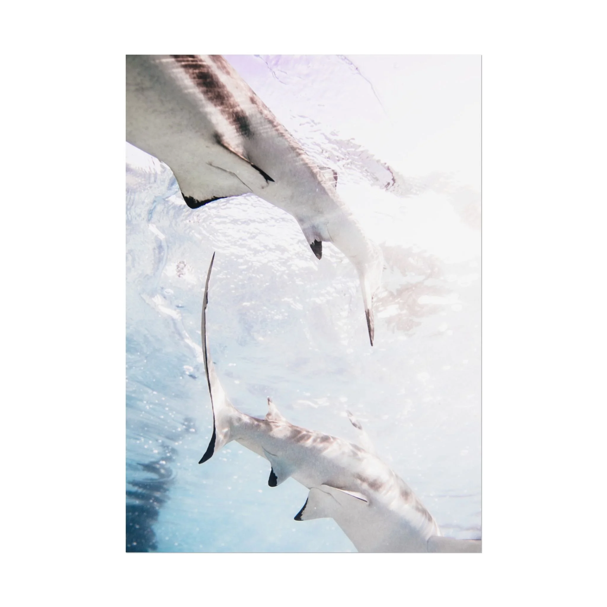 4117e8c6d6599a36fb3ff93bb3b62f28