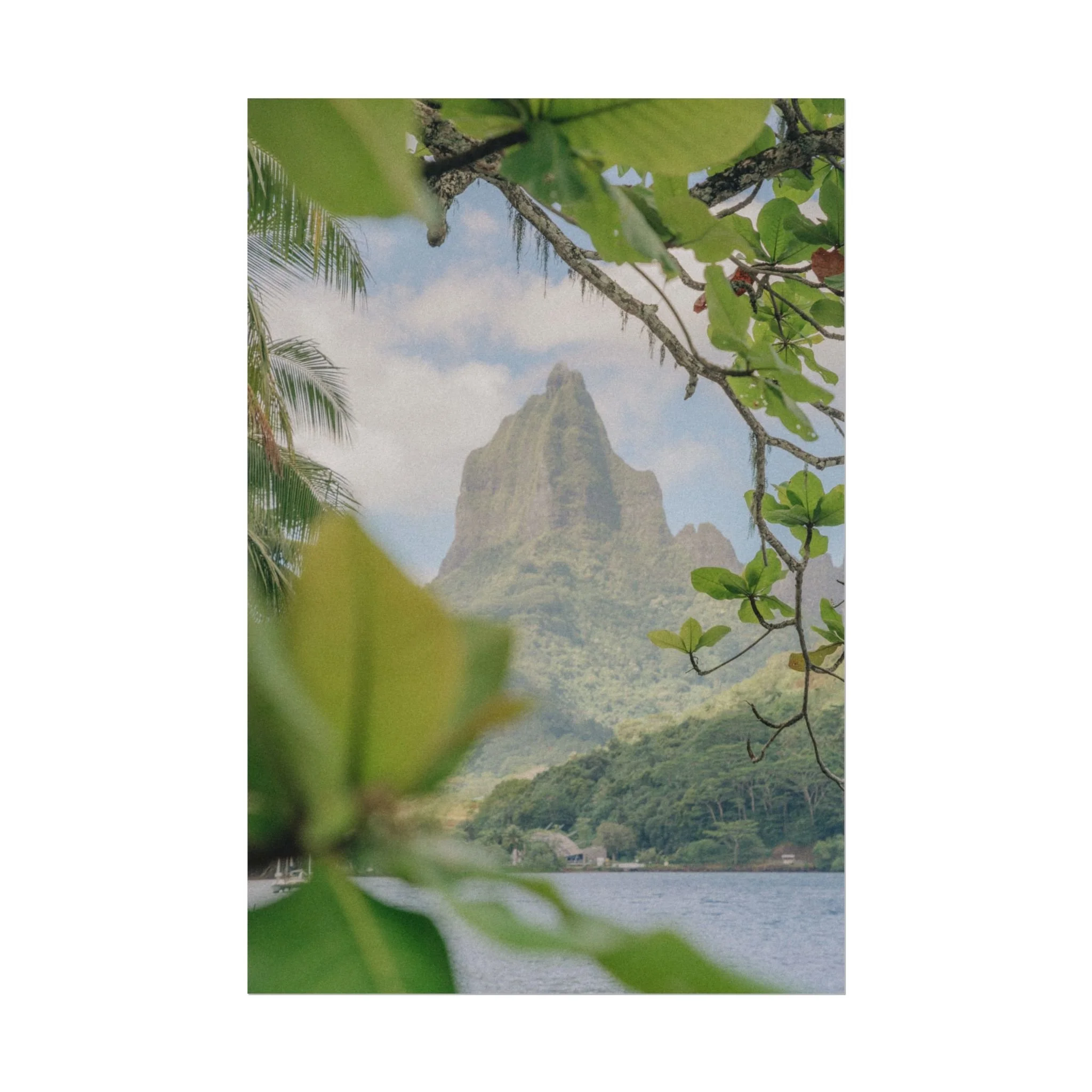 6137ea822b9561491da6c2066dd3b7dc