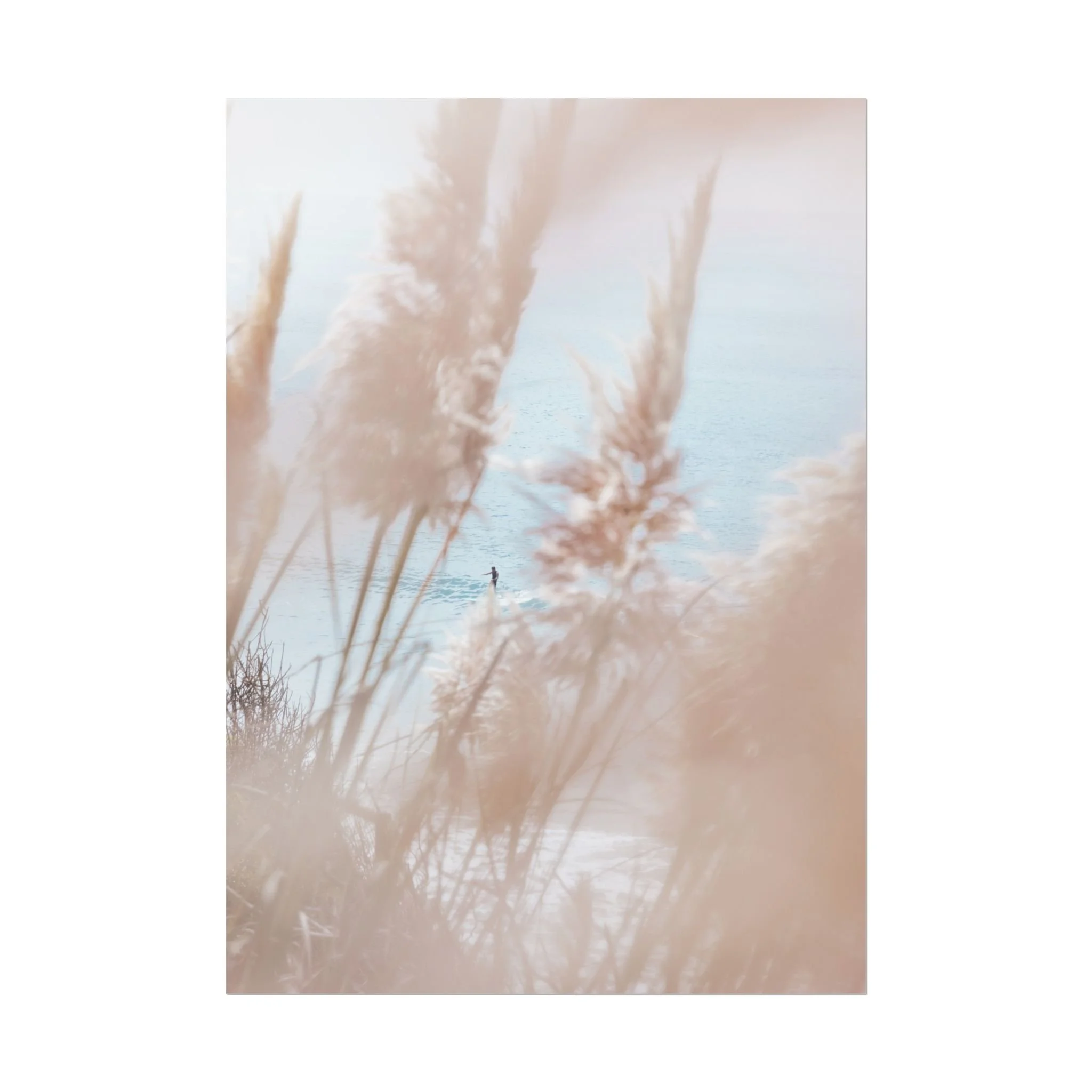 c39c73b01f378a579837fdb971a8b3a2