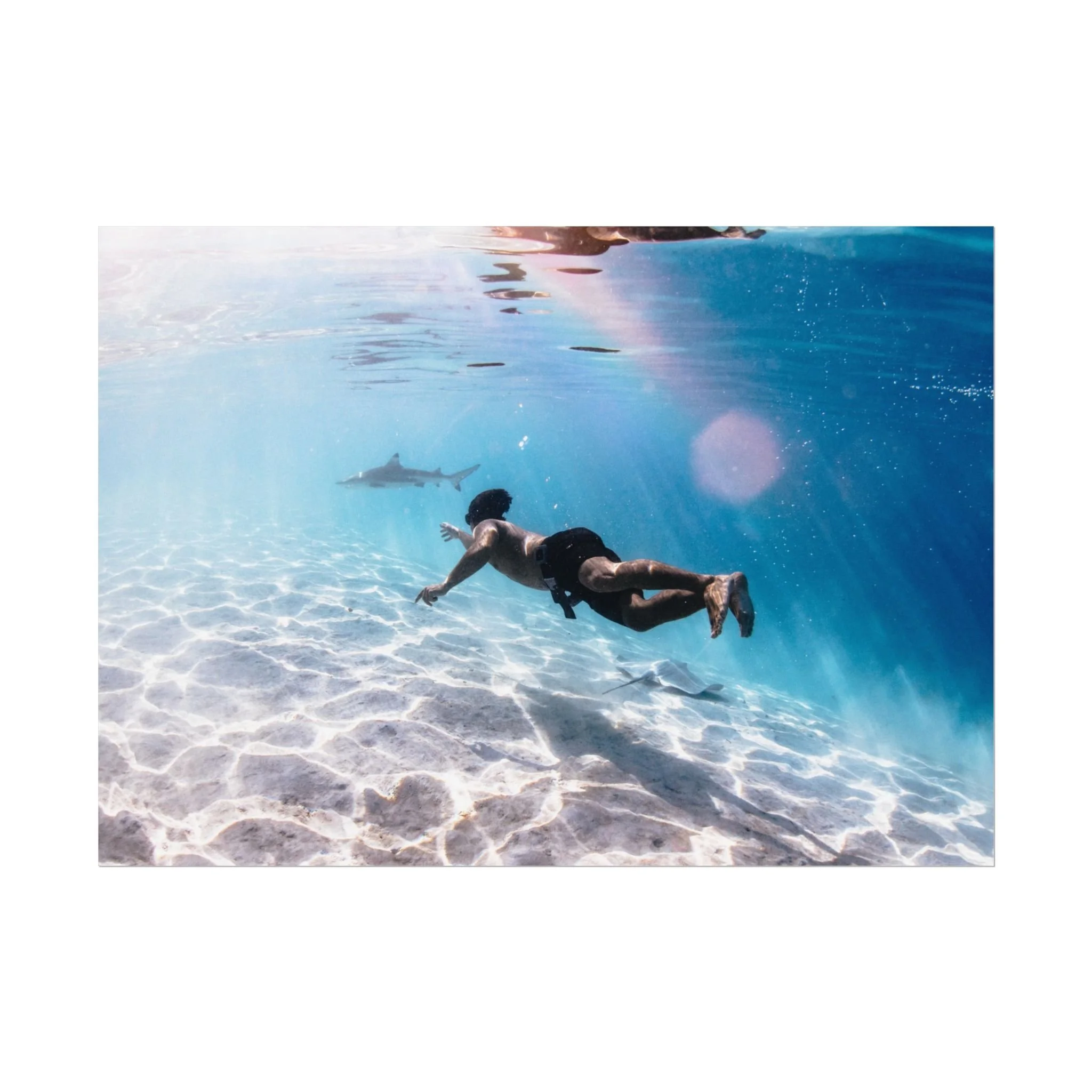 81f5f5c550bdfe9c26d3fa06be1e1199