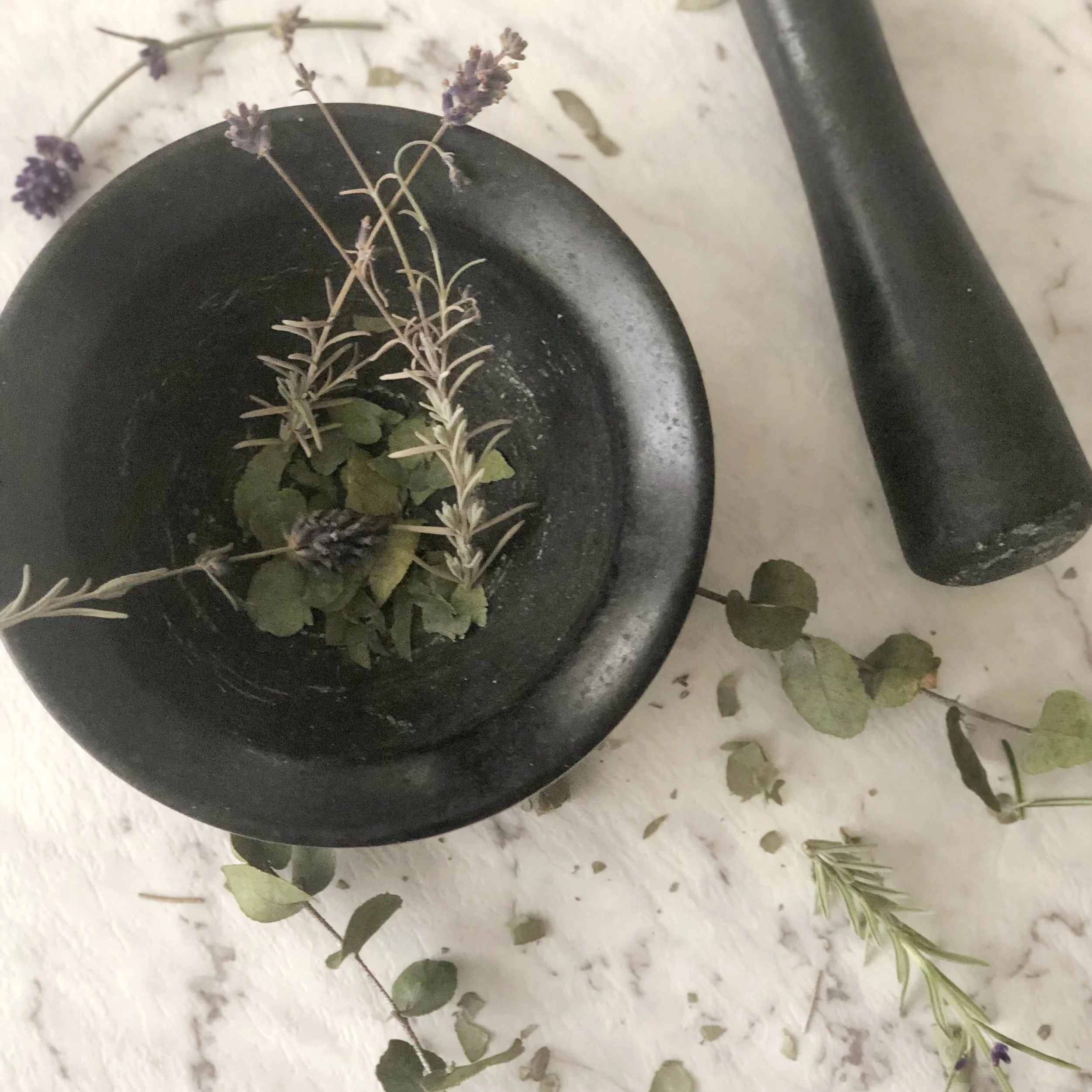 You and Eucalyptus