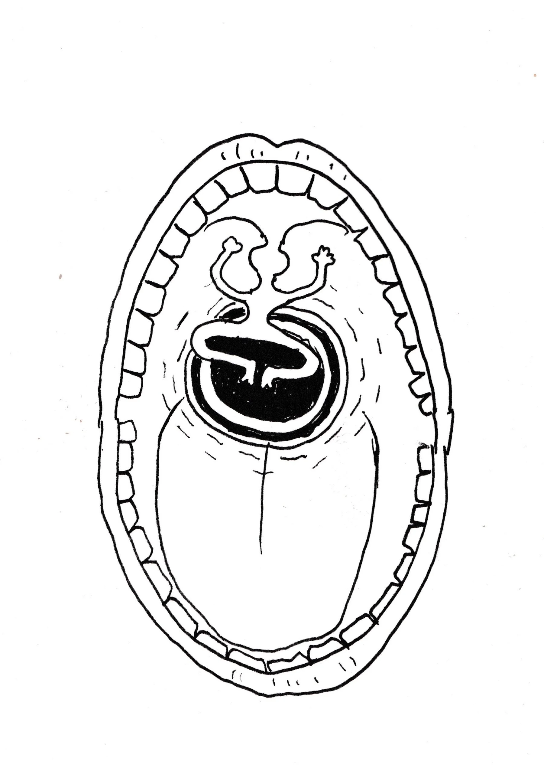 Scan 2.jpg