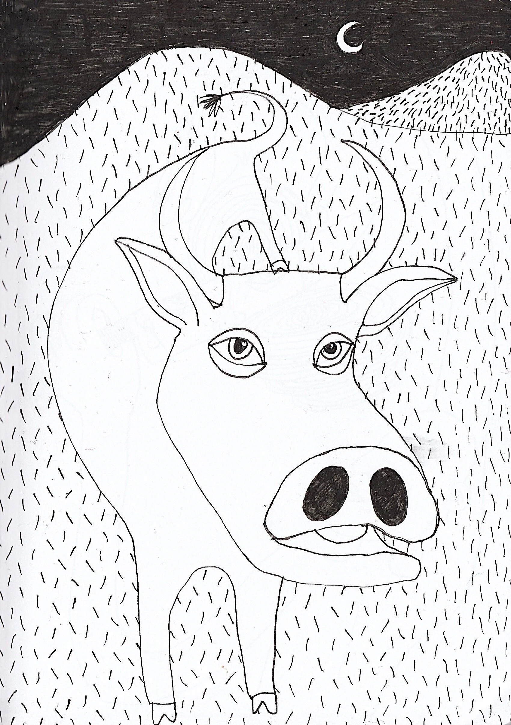 zzcow.jpeg