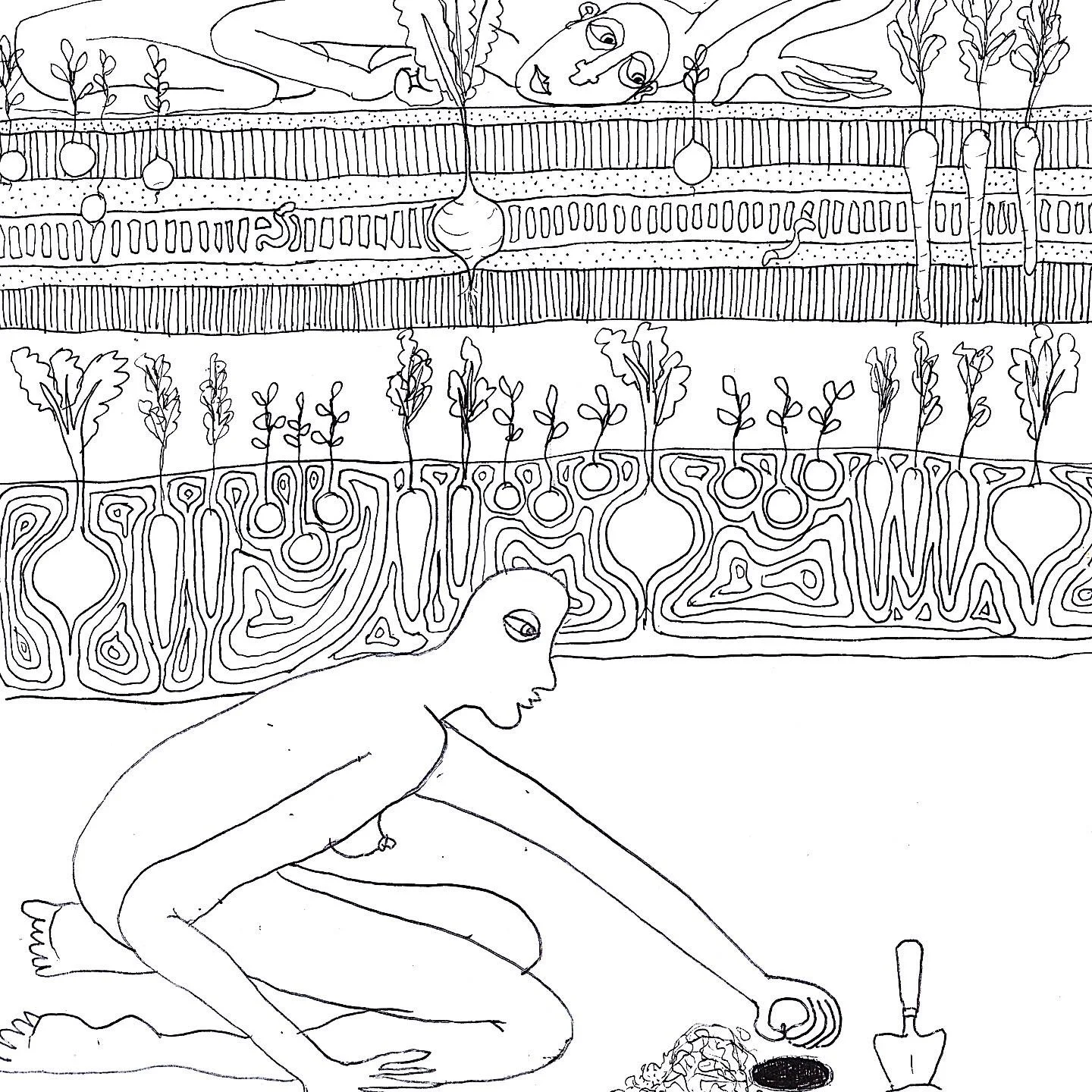 zzplantin.jpeg