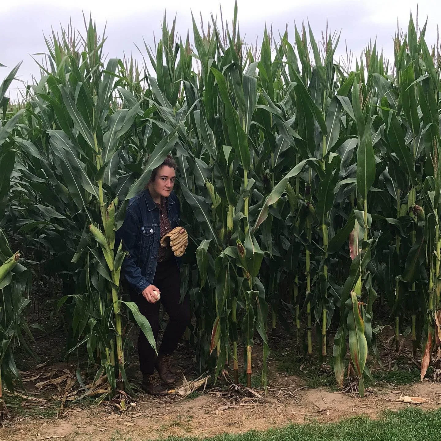 Coming out of the Corn, Field of Dreams; August 2019