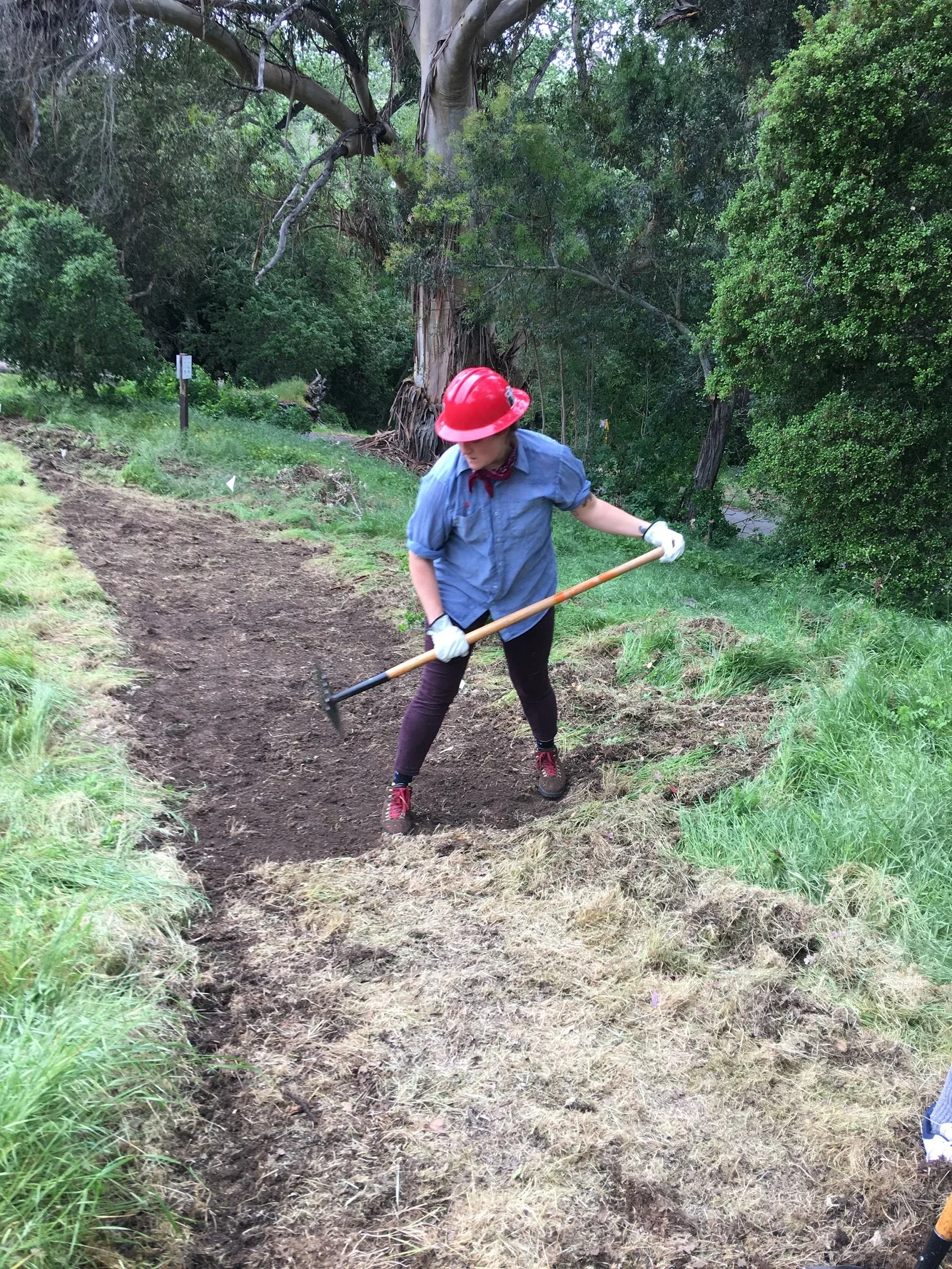 Volunteer California Trail Building 2019, Sycamore Grove Park, Livermore 