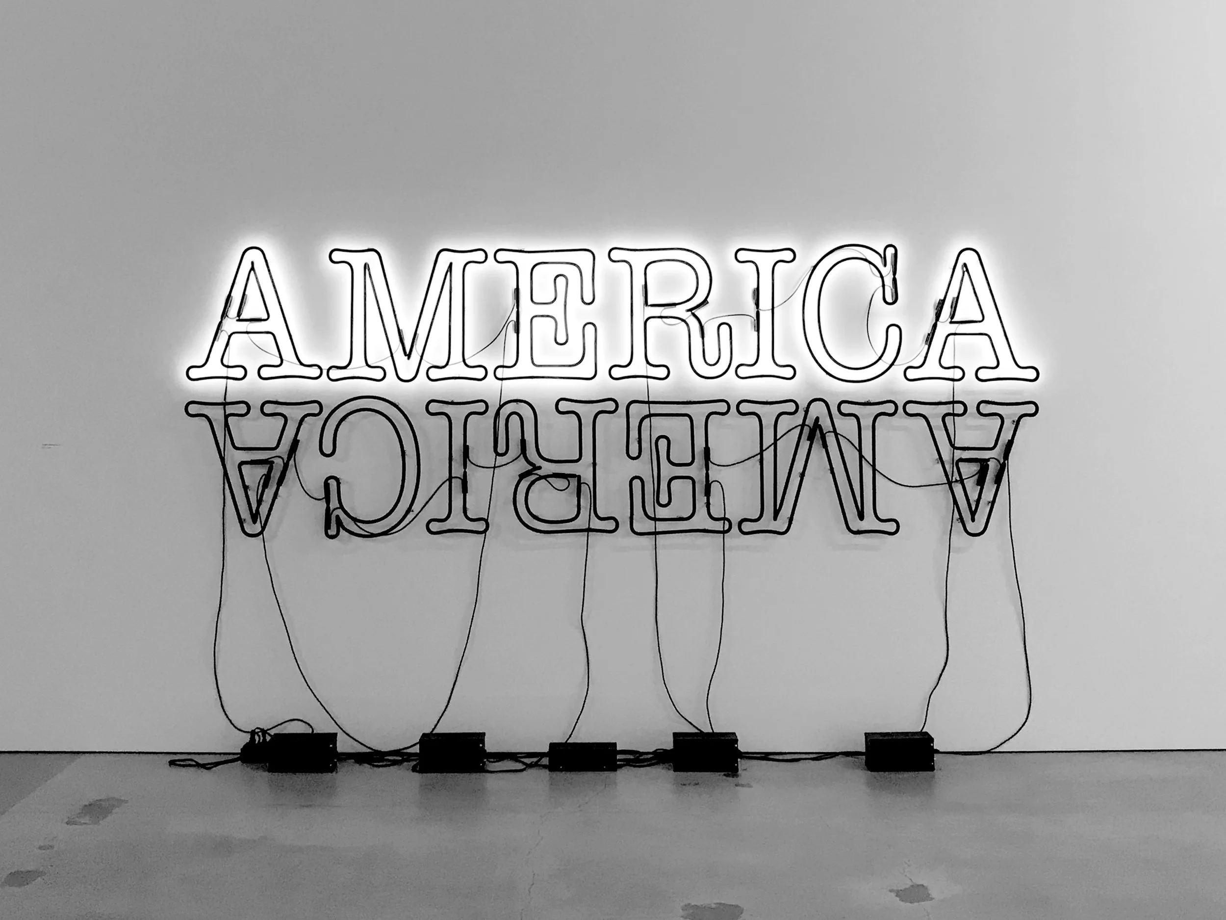 Glenn Ligon - Double America (II) (2014)
