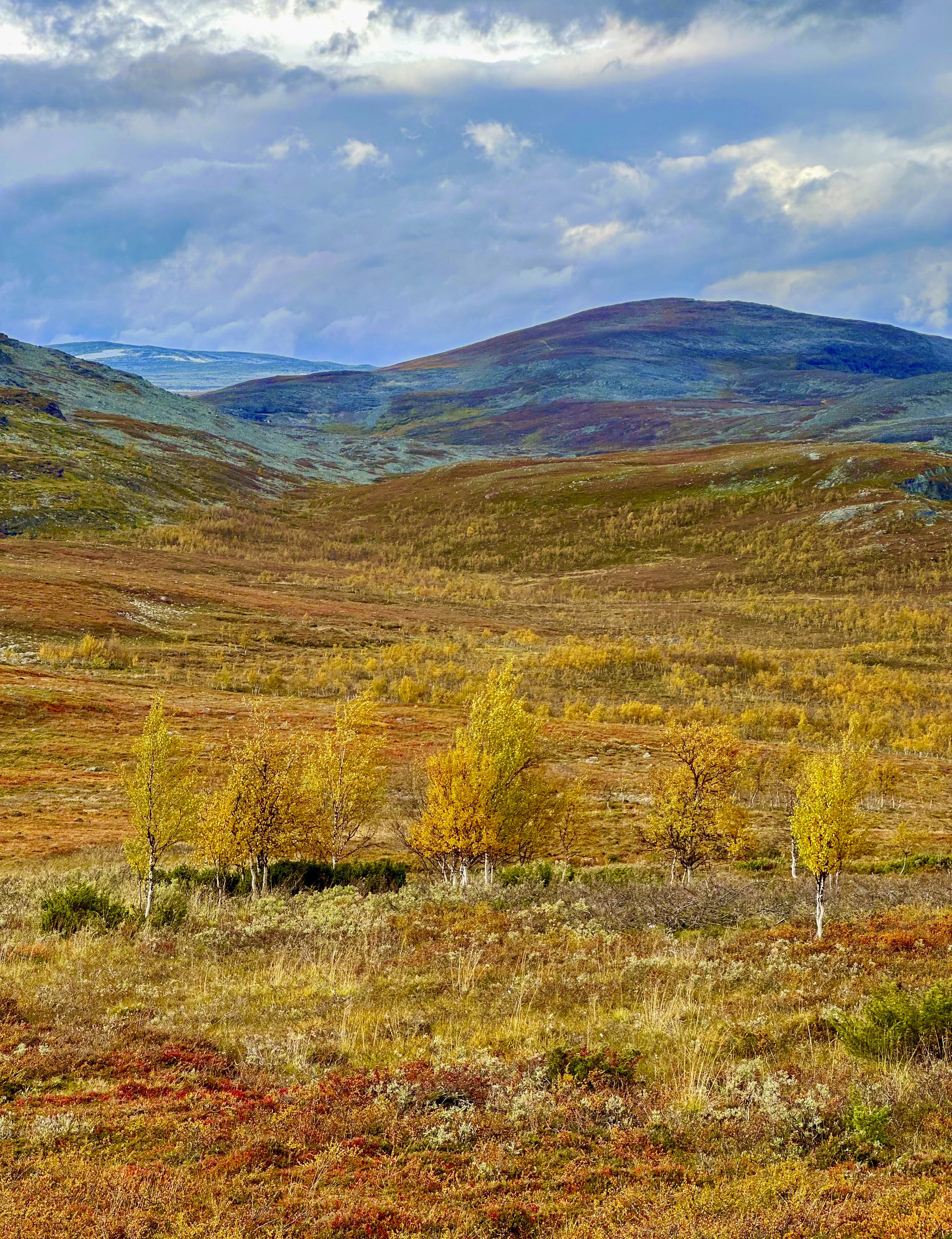 kilpisjarvi_2023_043.jpg