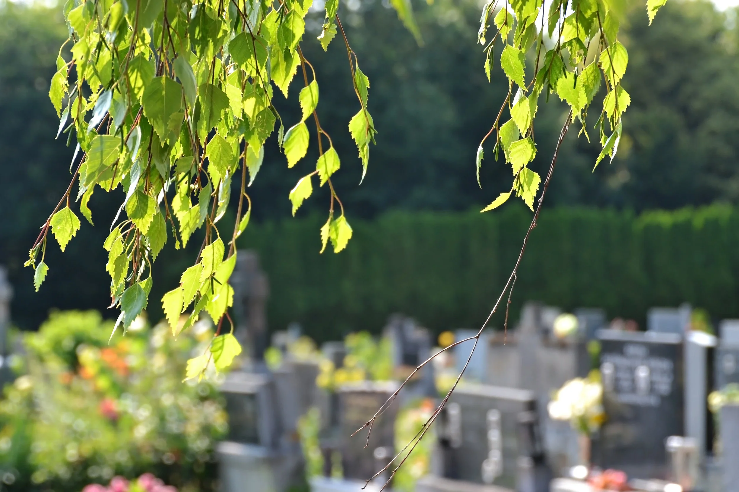 AdobeStock_54958089.jpeg