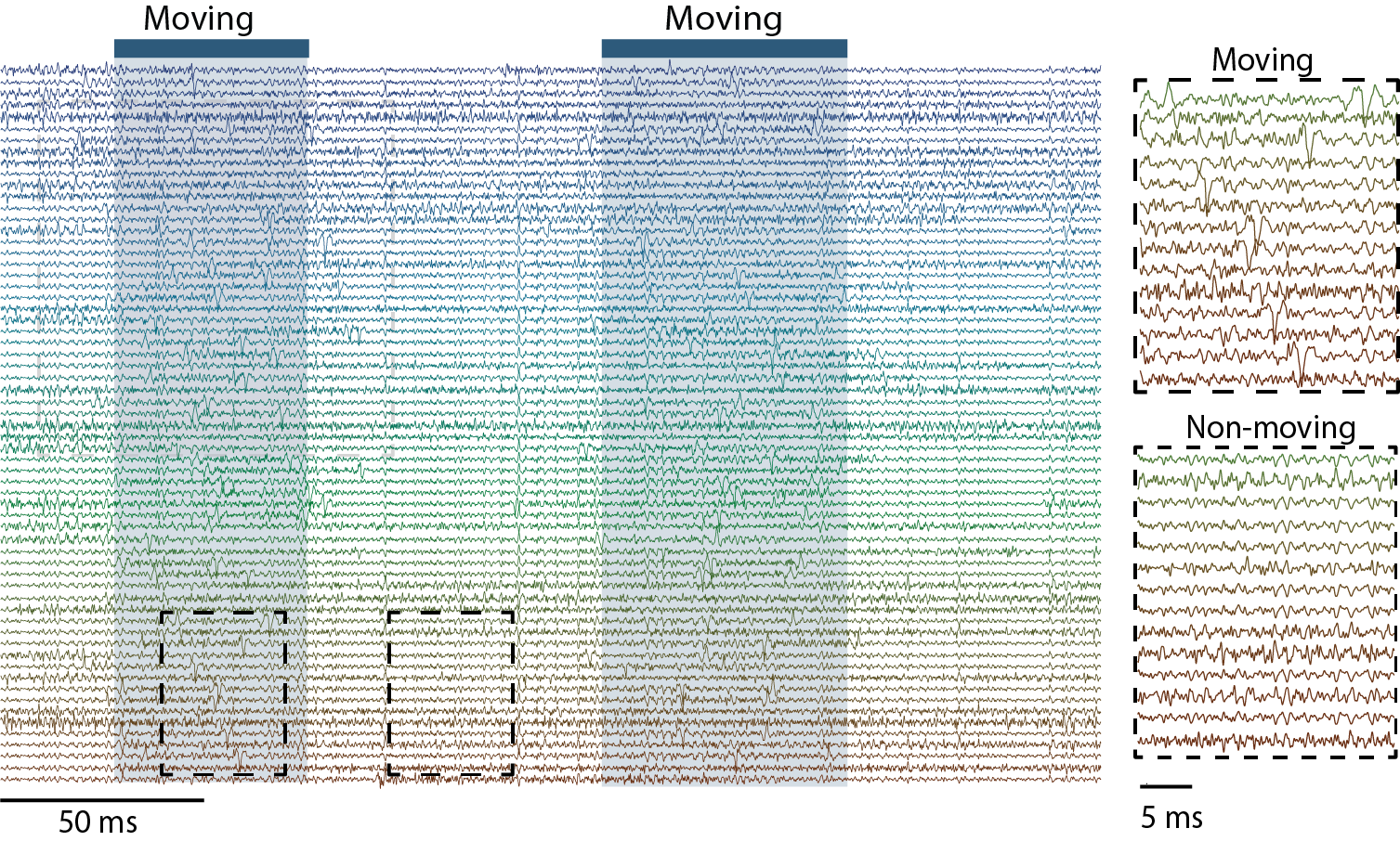 BMI_traces_01Asset 5@4x.png