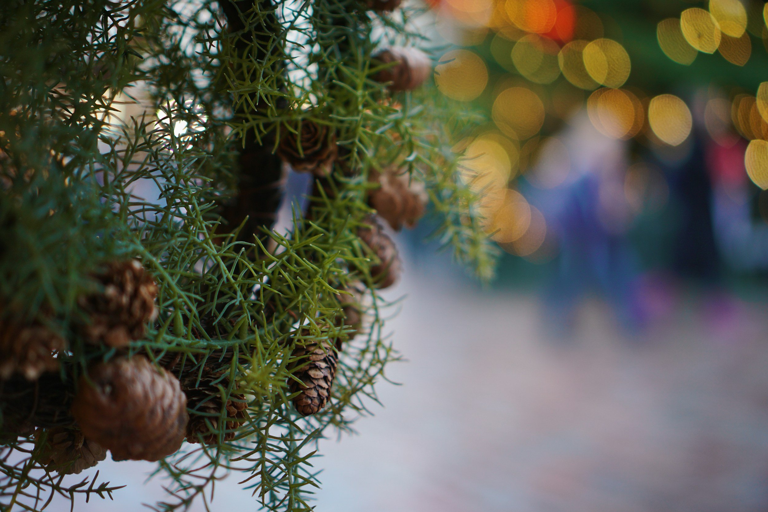 Festive Wreath