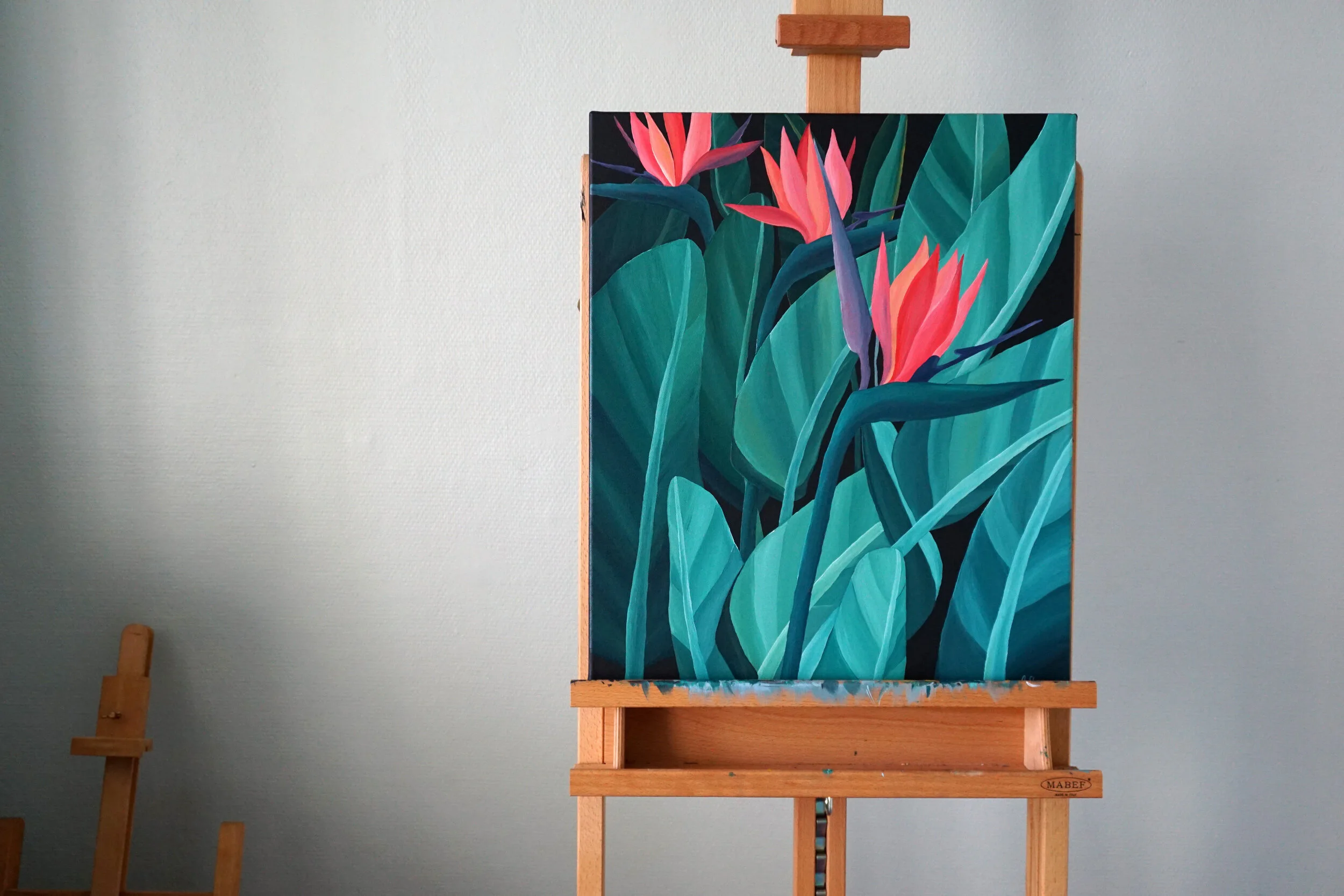Strelitzia  A STORM