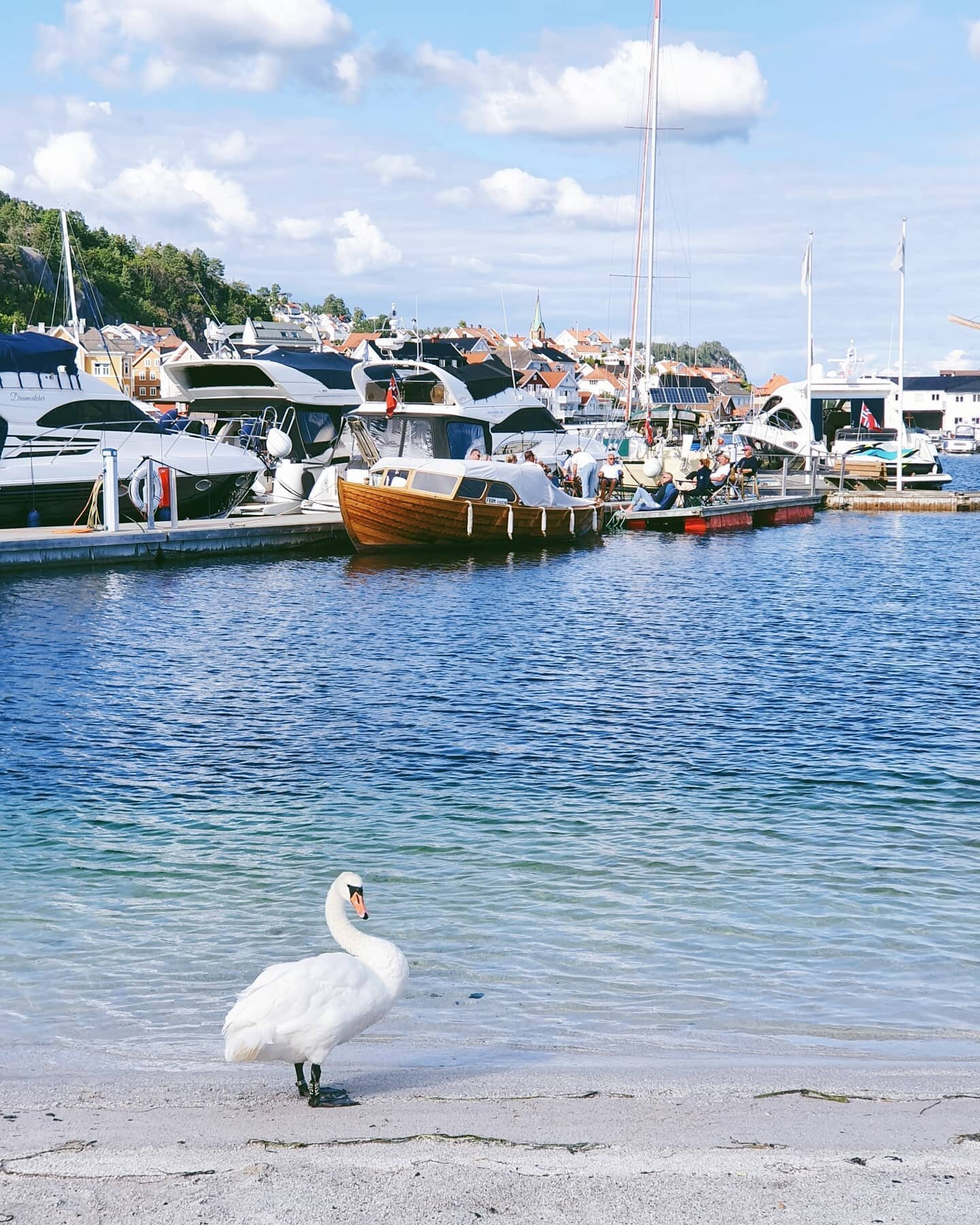 Can you find a photo of the view I was inspired by for the illustration in previous post? 

Taken last year on our trip to southern coast of Norway. I mean how beautiful is this?🌊❤🏖