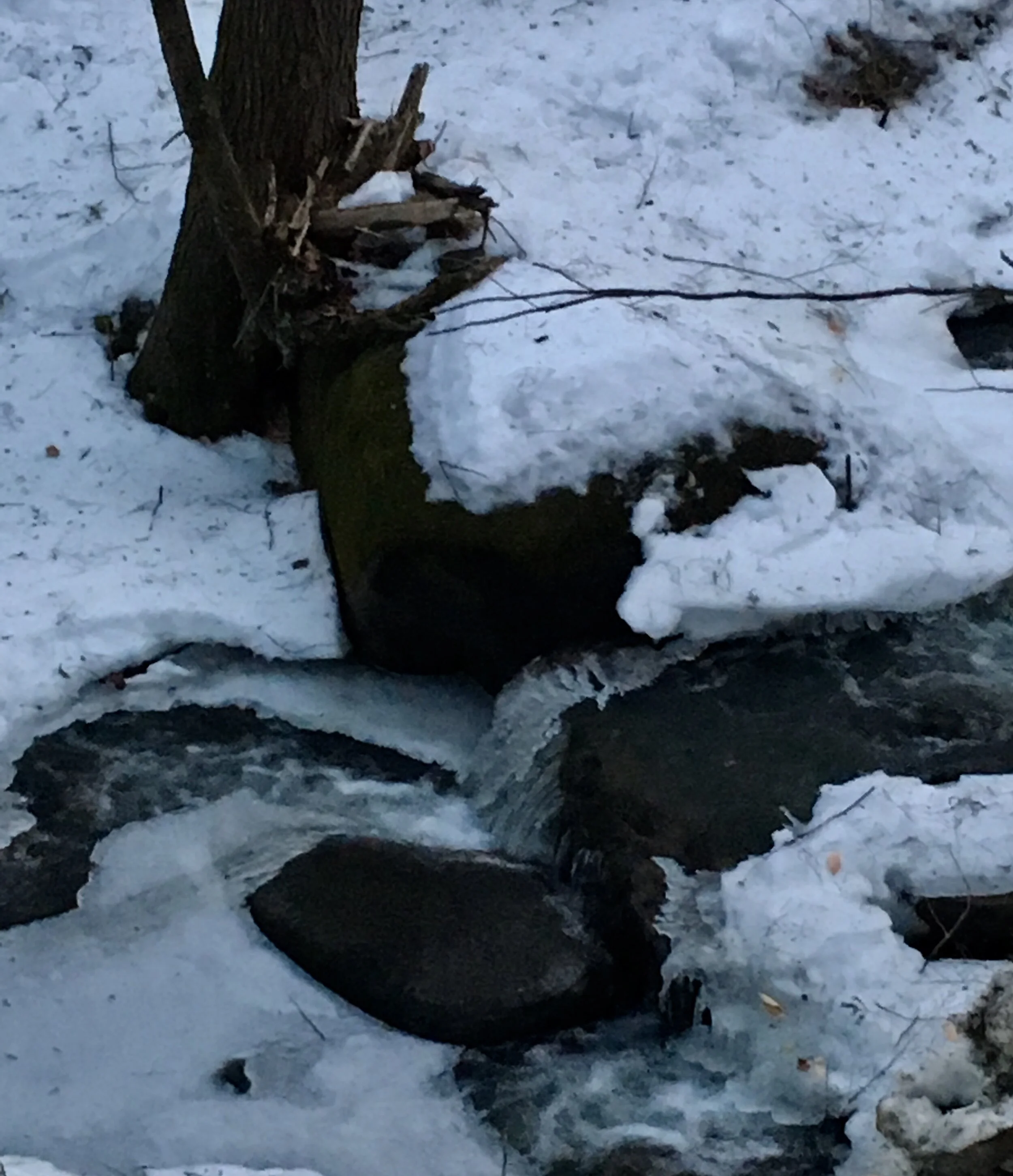 Snow melting into the stream.