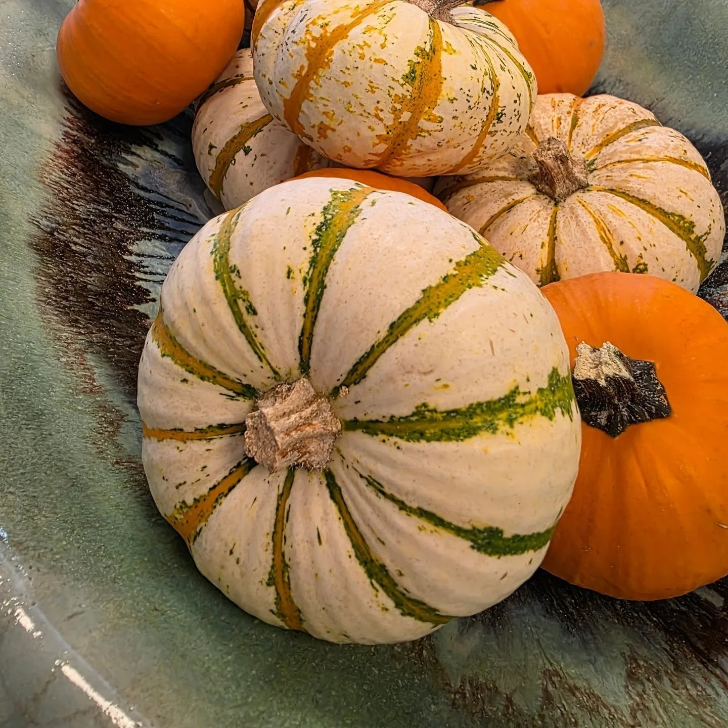 Every year I make a promise to myself to skip the week of the fall High Point Market because it overlaps my birthday and I miss celebrating that next orbit around the sun. And then I go. I do love seeing all of the pretties and running into design co