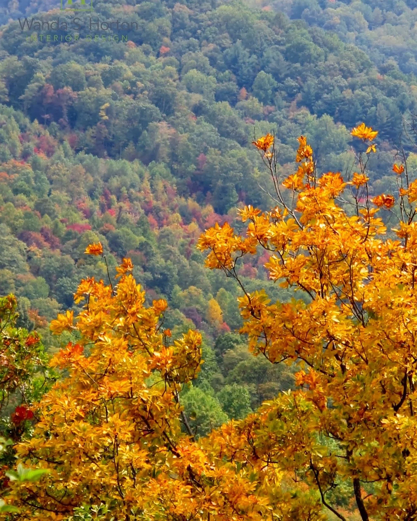 The mountains are calling, and we must go! 🍂

One thing I've always allowed for is scheduling pivots for everyone but me/us. And though I've loved attending High Point Market over the years, it's always overlapped with my birthday week. (And yes, I'