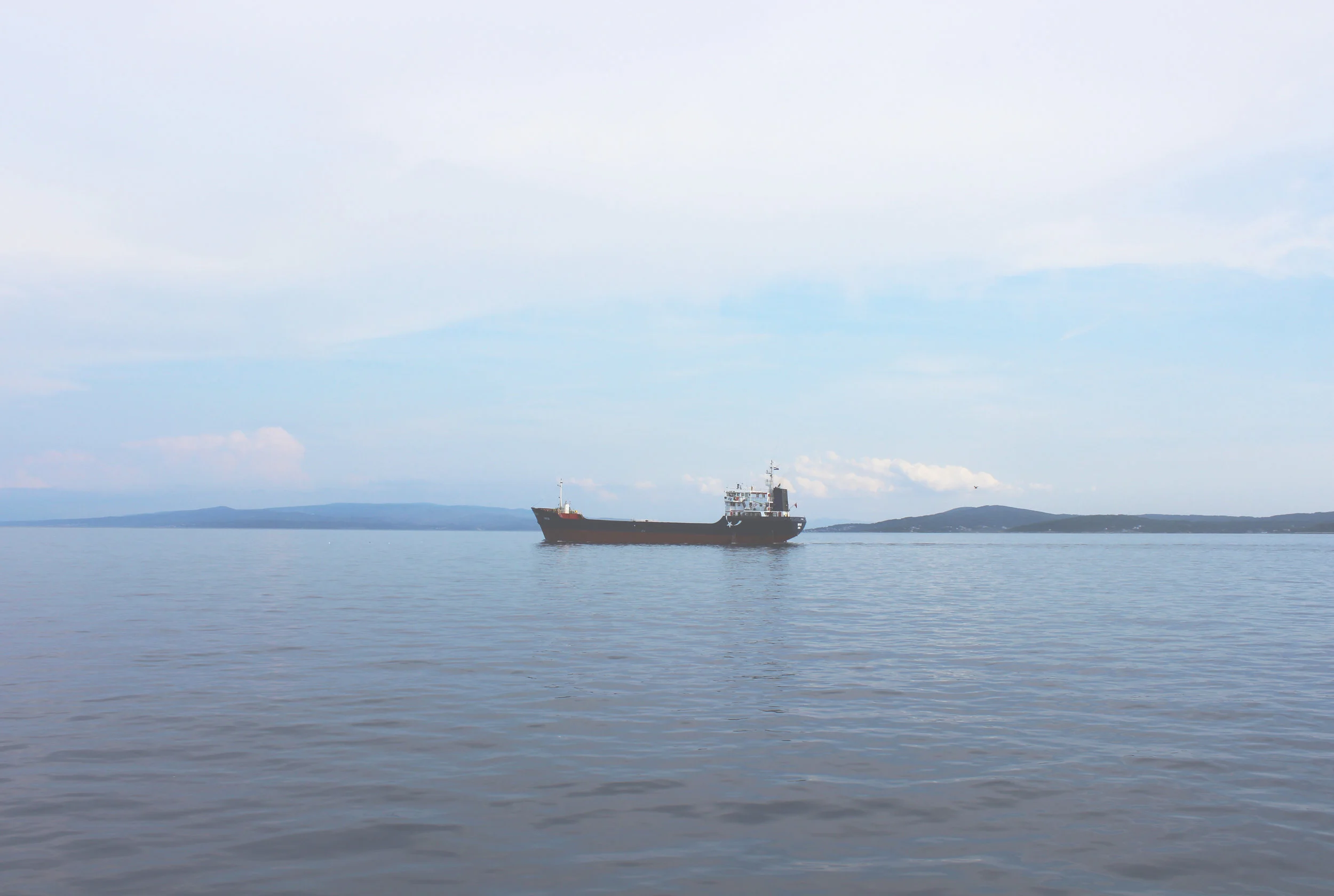 Under Siege: Marine Life vs. the Gulf Oil  Spill