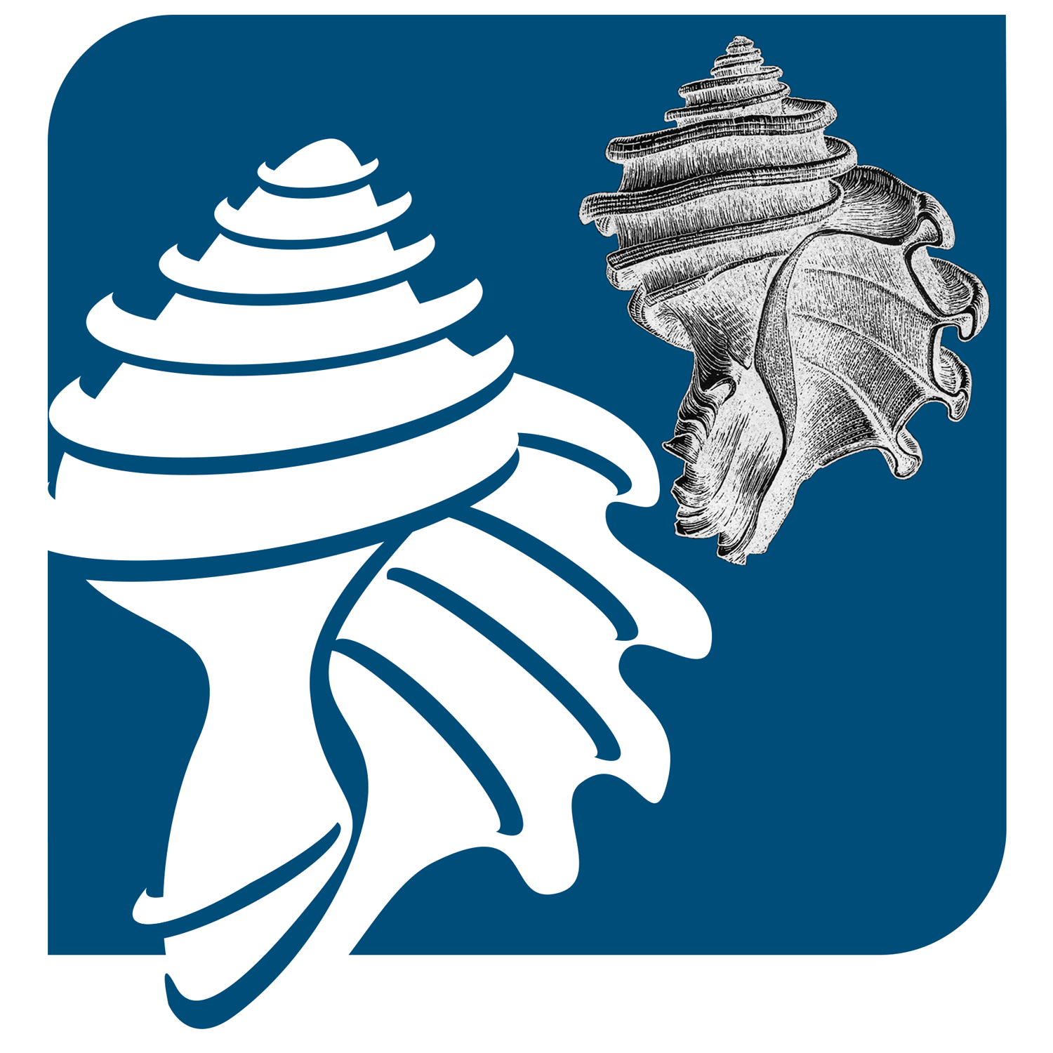 Ecphora: The Snail Shell of PRI