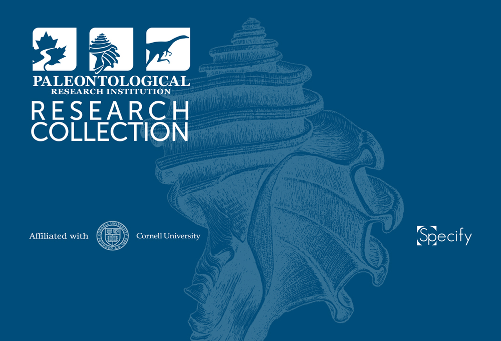 Research Collection — Paleontological Research Institution