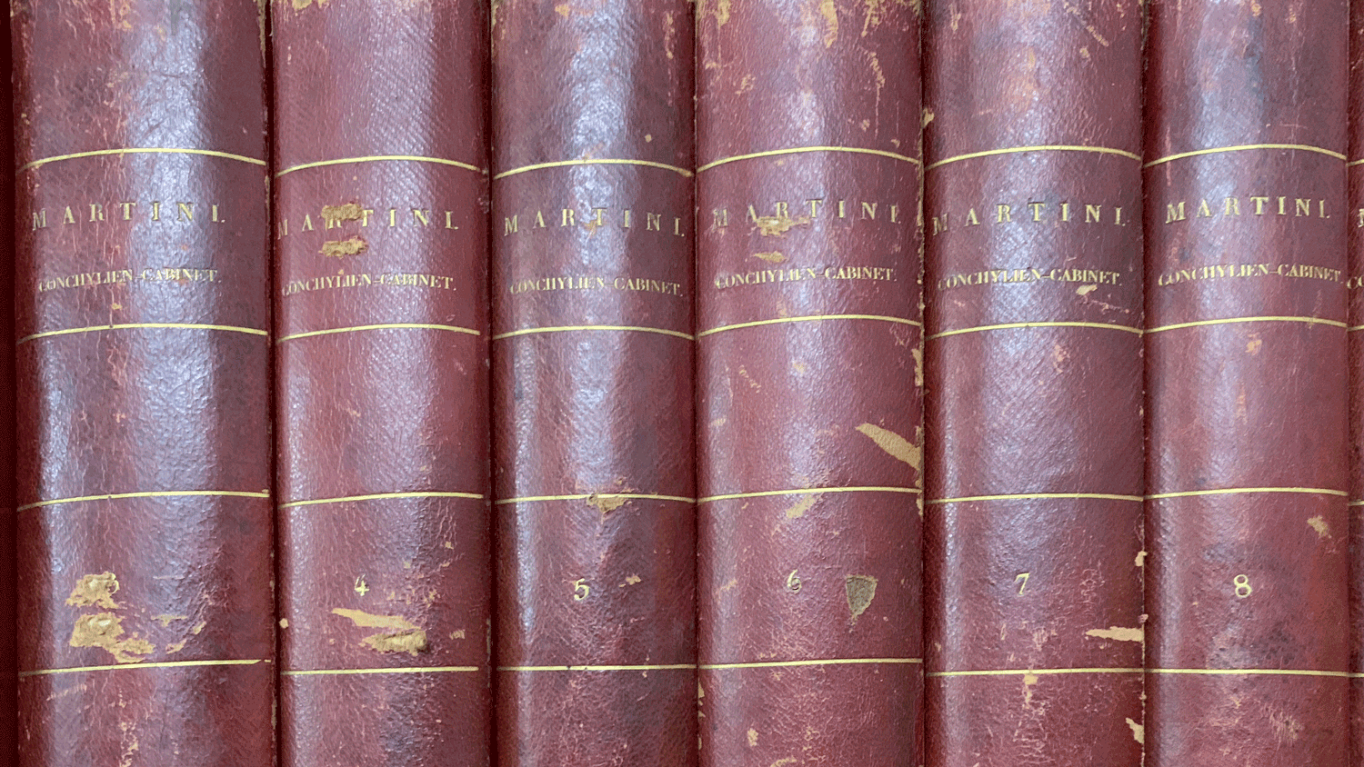 Library-Archives-Header.png
