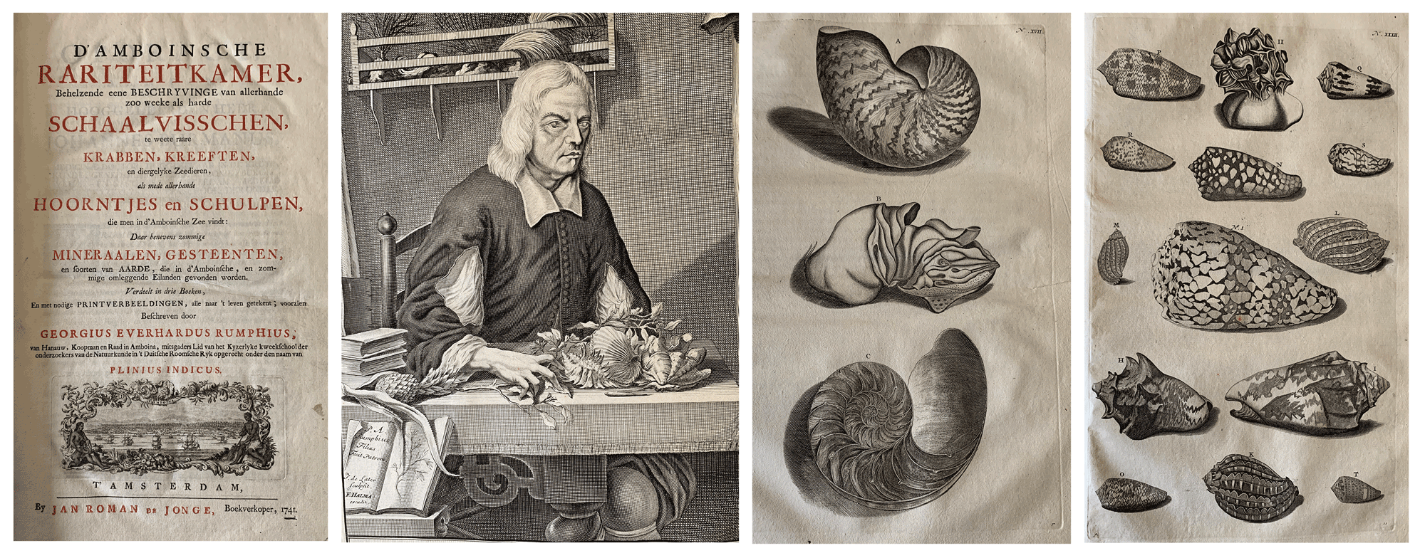 Title page and select images from D’Amboinsche Rariteitkamer by Georg Rumphius (1741). Rumphius lived much of his life on the Pacific island of Ambon (now part of Indonesia) and in this work named many of the shells and other sea creatures that he e…