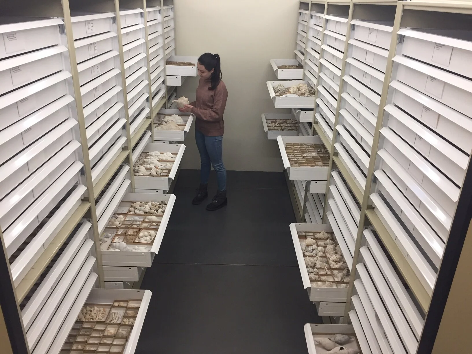 landing page jaleigh1.JPG