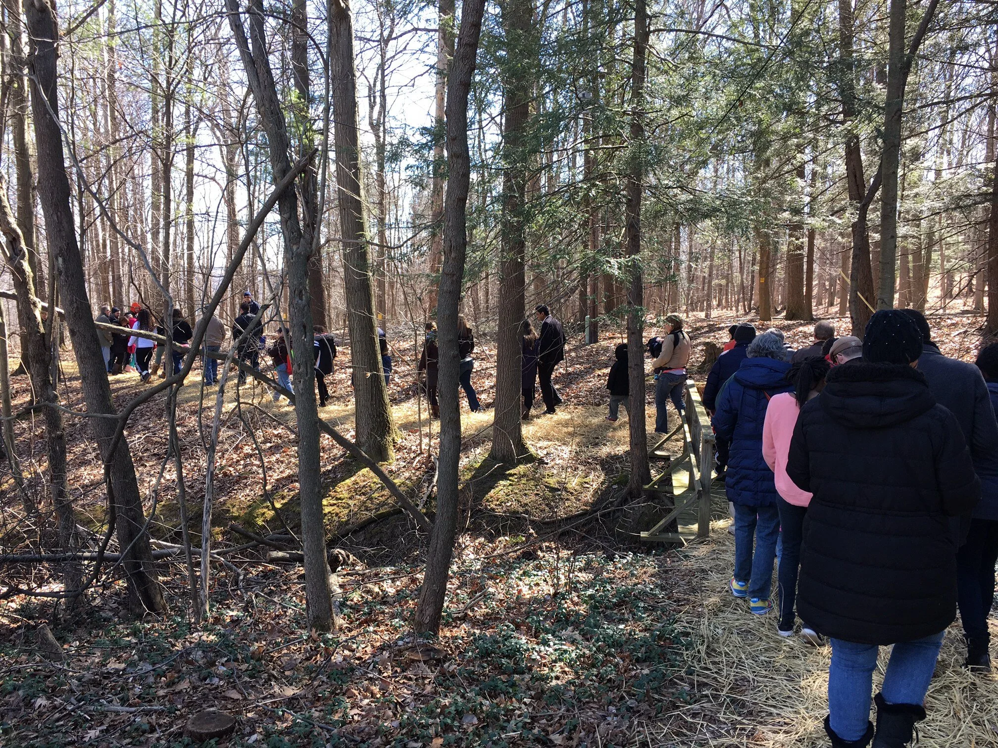 Climate Change and Energy Programs