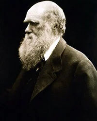 Charles Robert Darwin