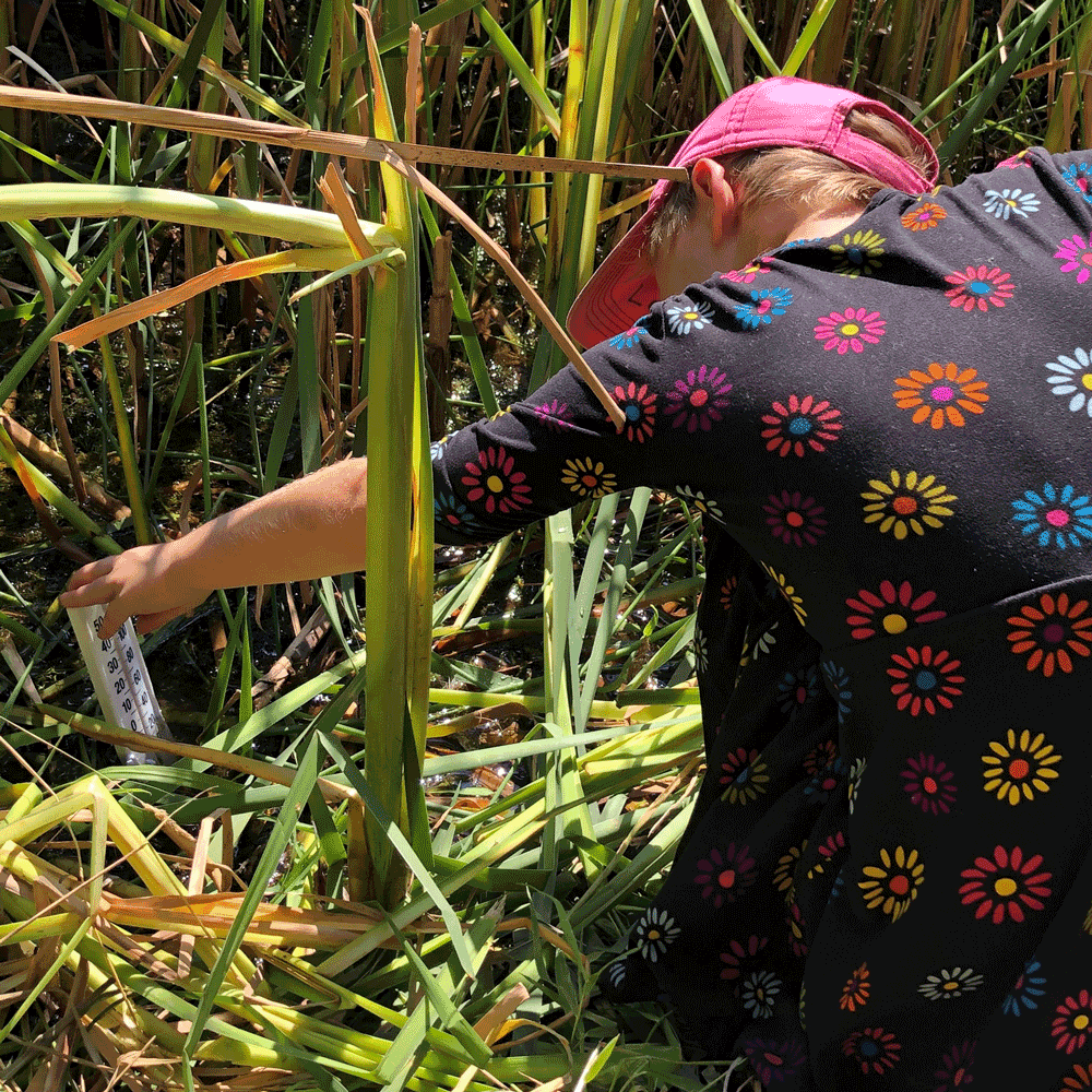 If climate change action is so important, why spend time teaching climate change science?