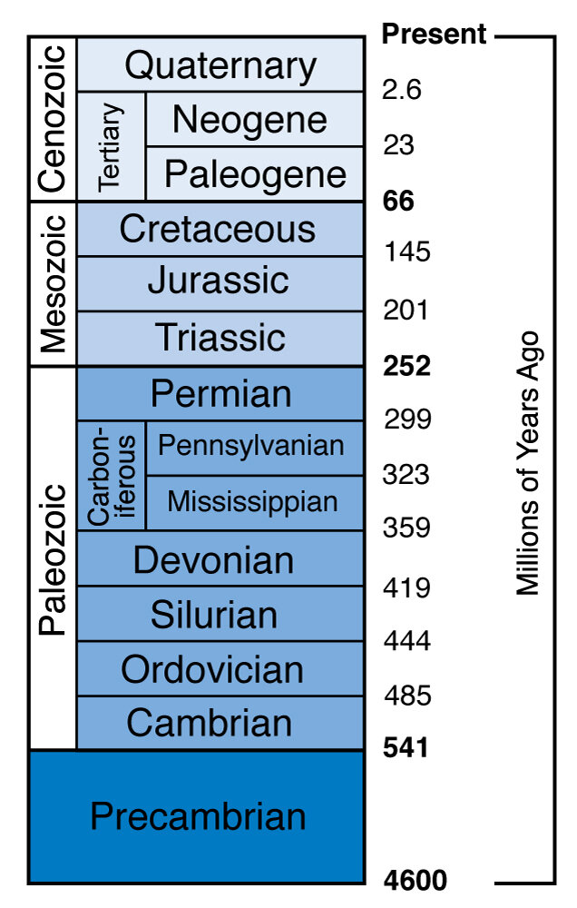 Figure 1.1.