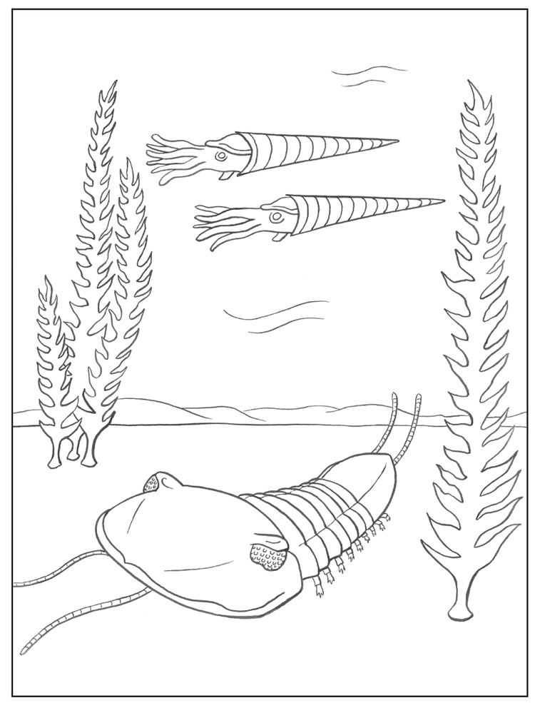 Coloring Activity for Children: Cecil's Colossal Journey Through Time ...