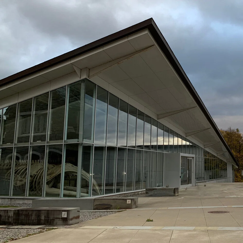 A Video Journey Through the Museum of the Earth