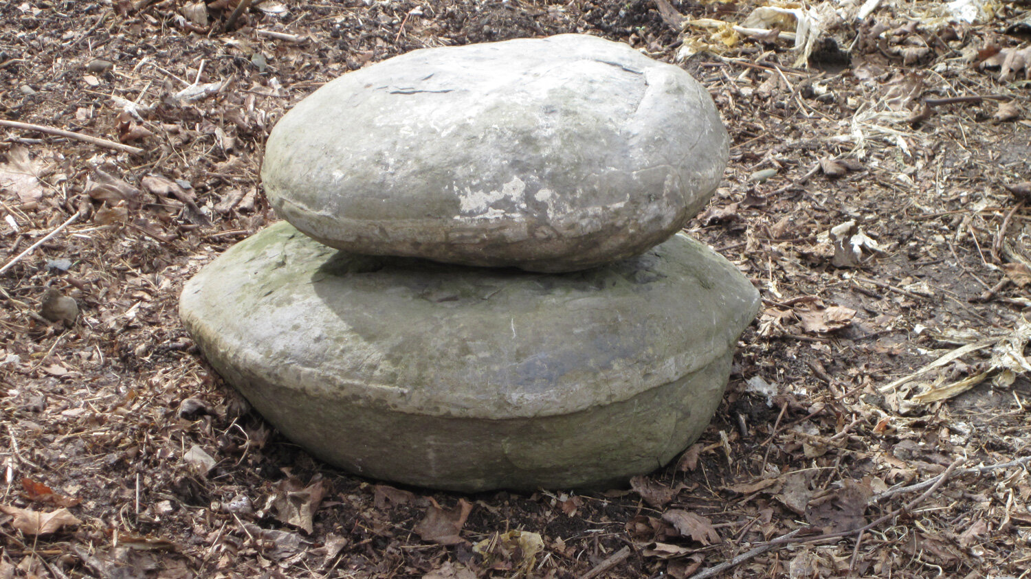 Calcareous Concretions