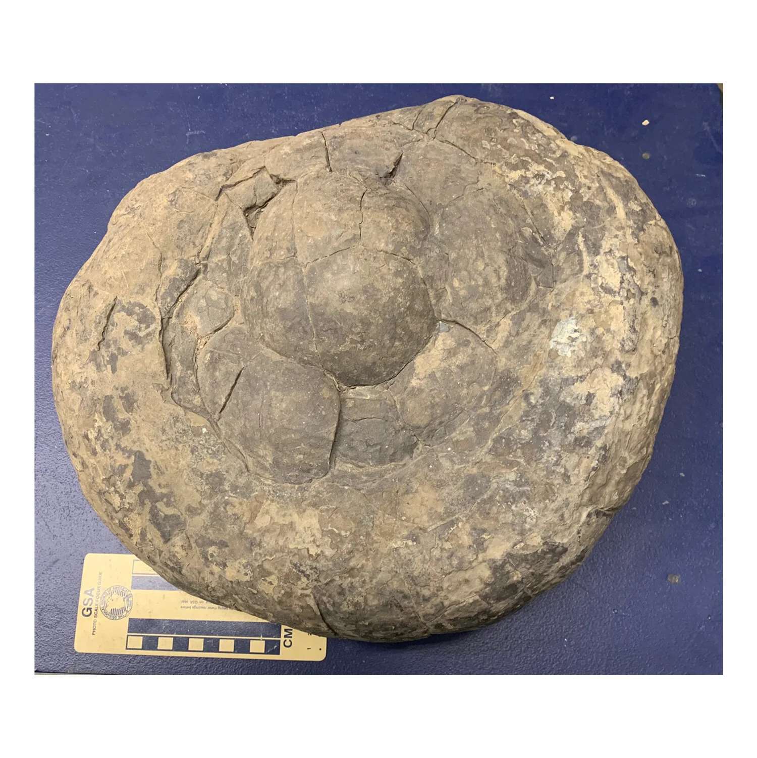 Concretions