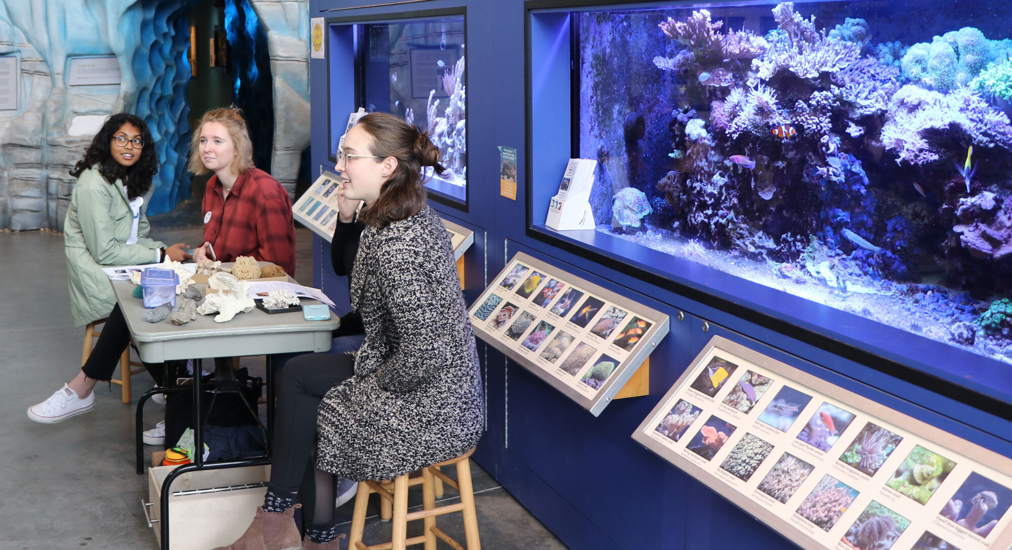Museum of the Earth volunteers share information about the two coral reef tanks with visitors at a museum event.