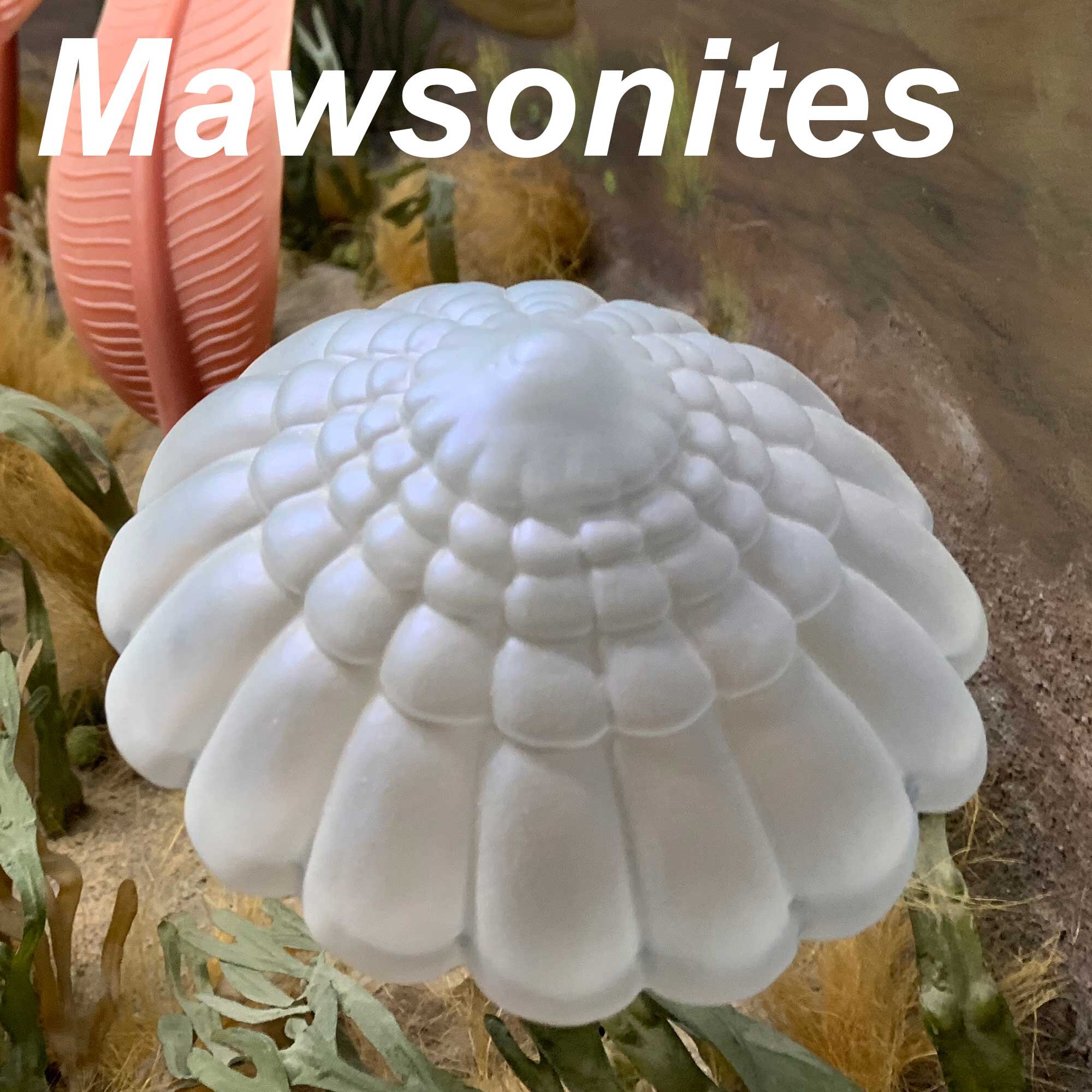 Mawsonites-2000px-SQ.jpg